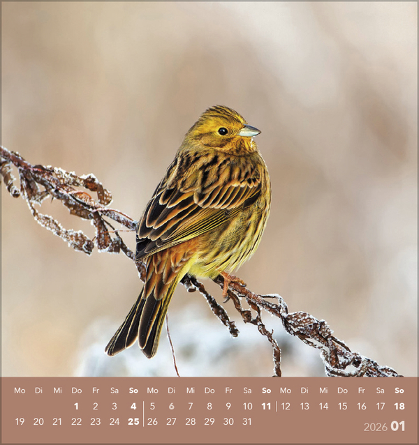 9783731890225_innenansicht_01 9783731890225_innenansicht_01.jpg