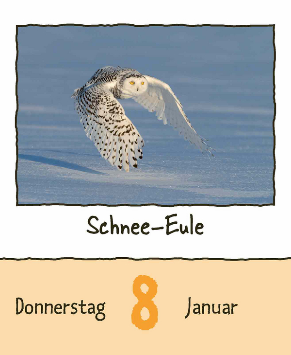 9783731889182_innenansicht_01.jpg