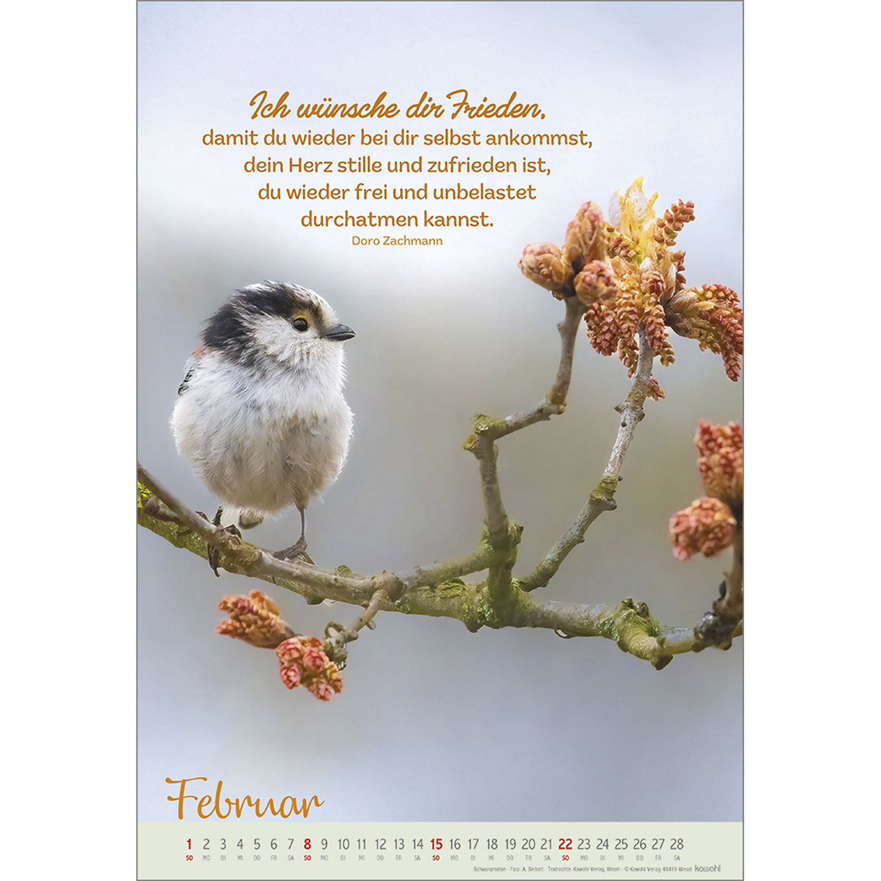 9783754804261_innenansicht_02 9783754804261_innenansicht_02.jpg