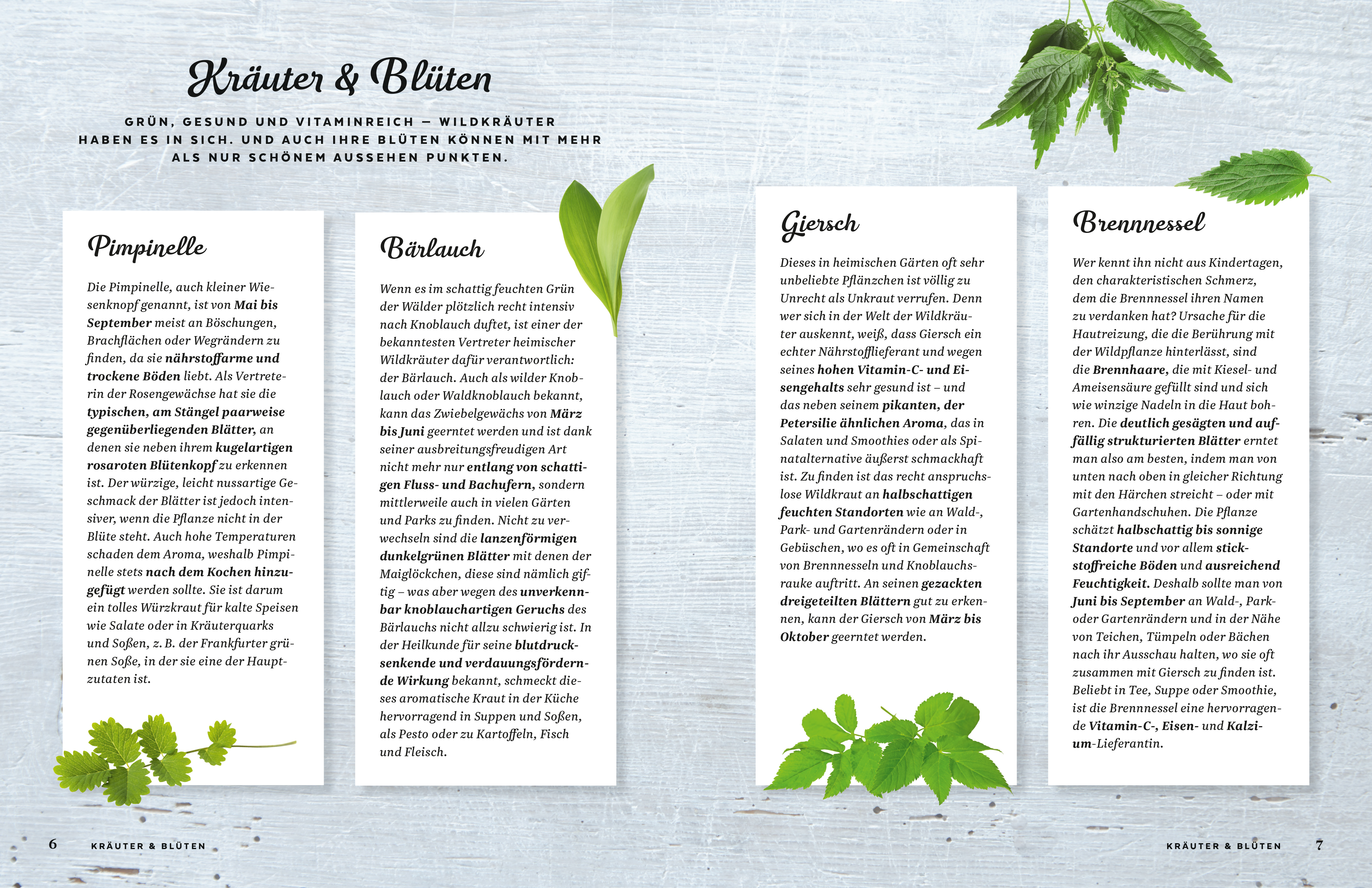 9783965843172_innenansicht_02 9783965843172_innenansicht_02.jpg