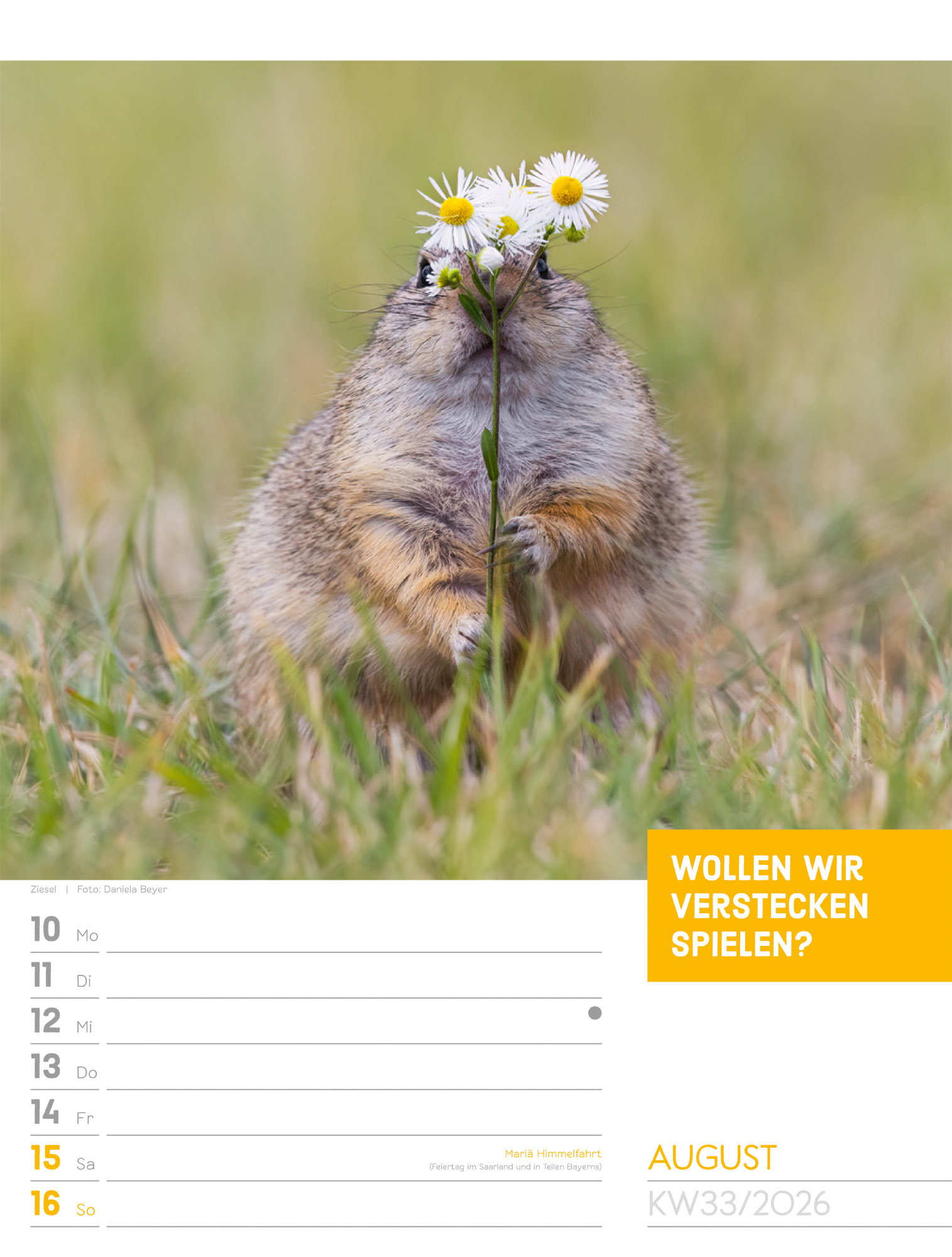 9783838426969_innenansicht_36 9783838426969_innenansicht_36.jpg