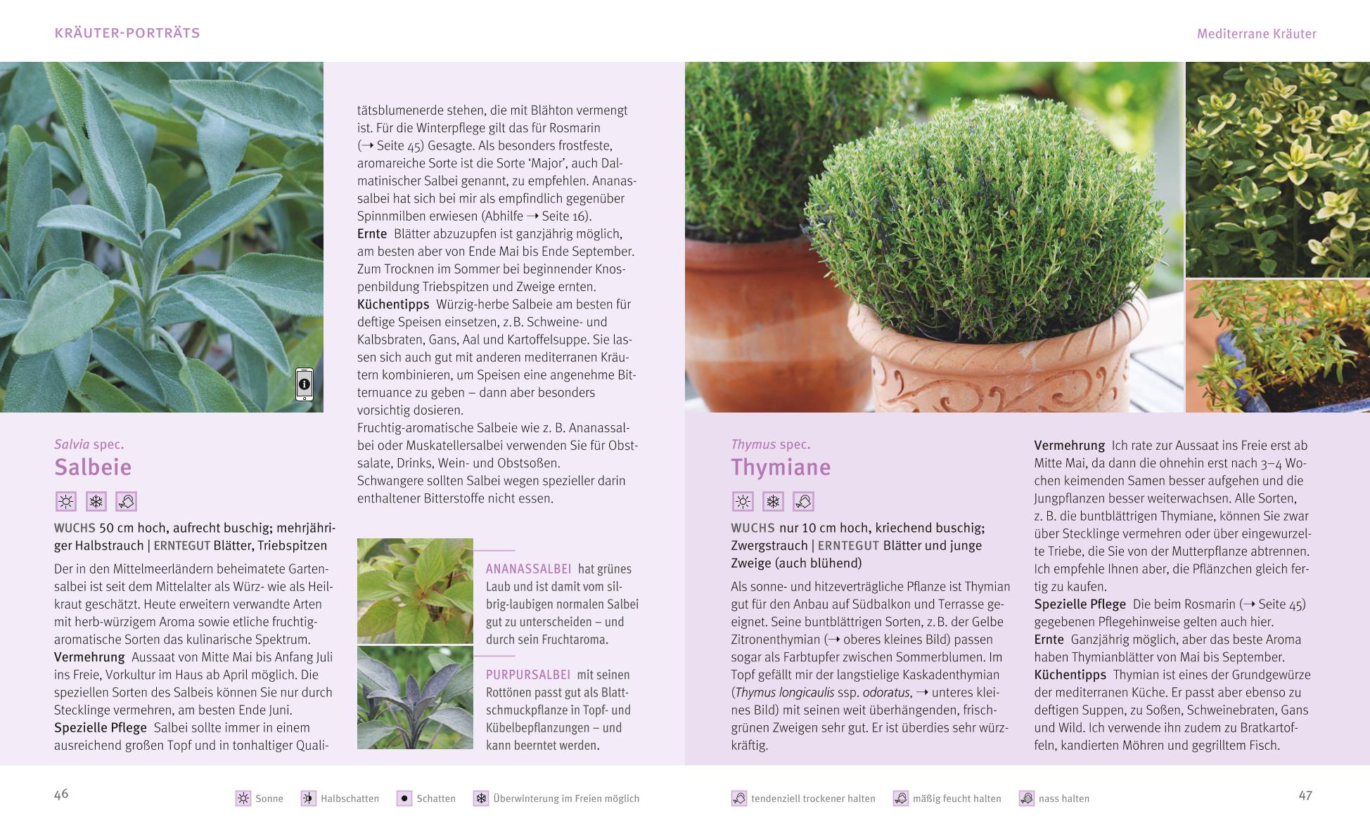 9783833838613_innenansicht_05 9783833838613_innenansicht_05.jpg