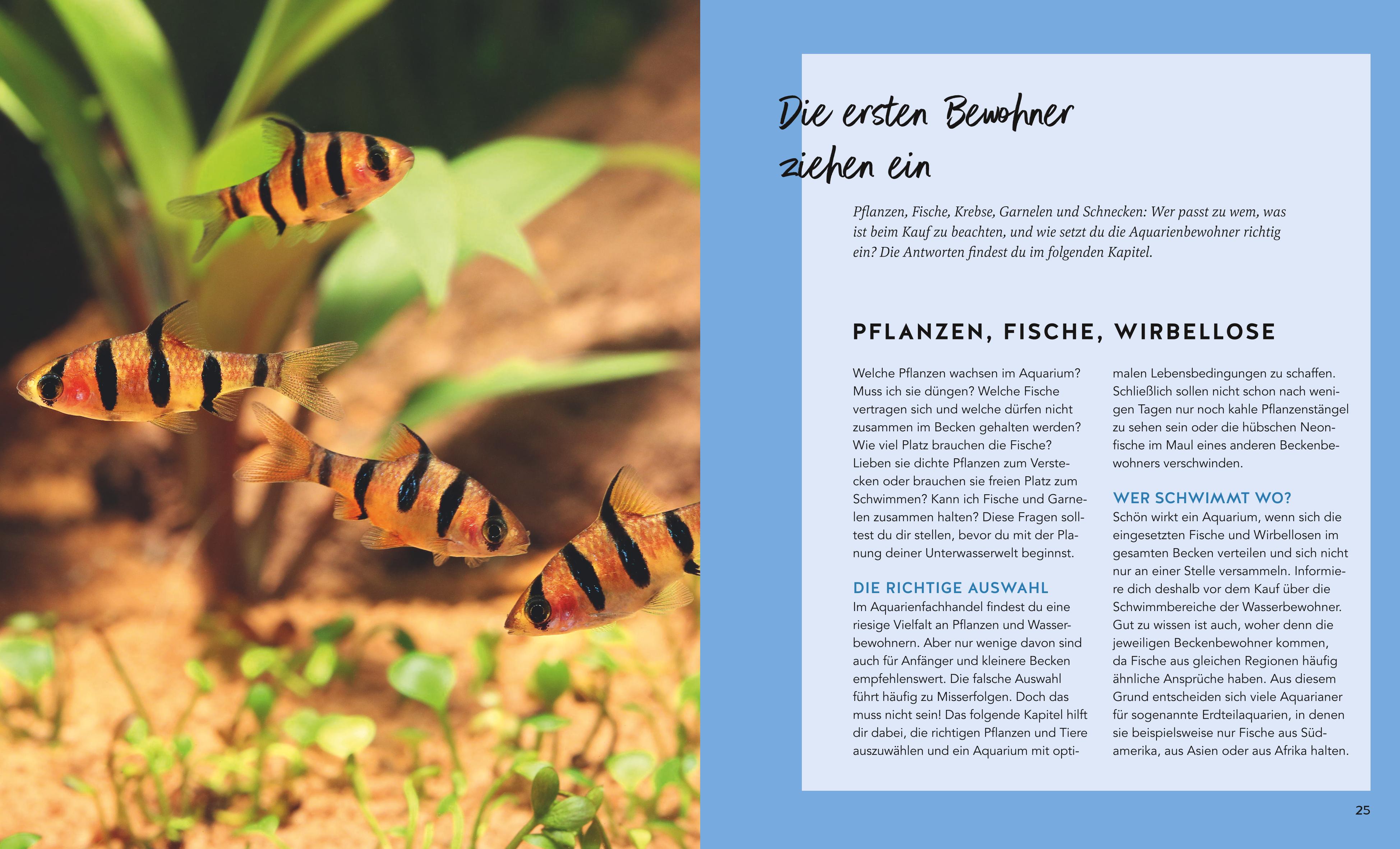 9783833897337_innenansicht_04.jpg
