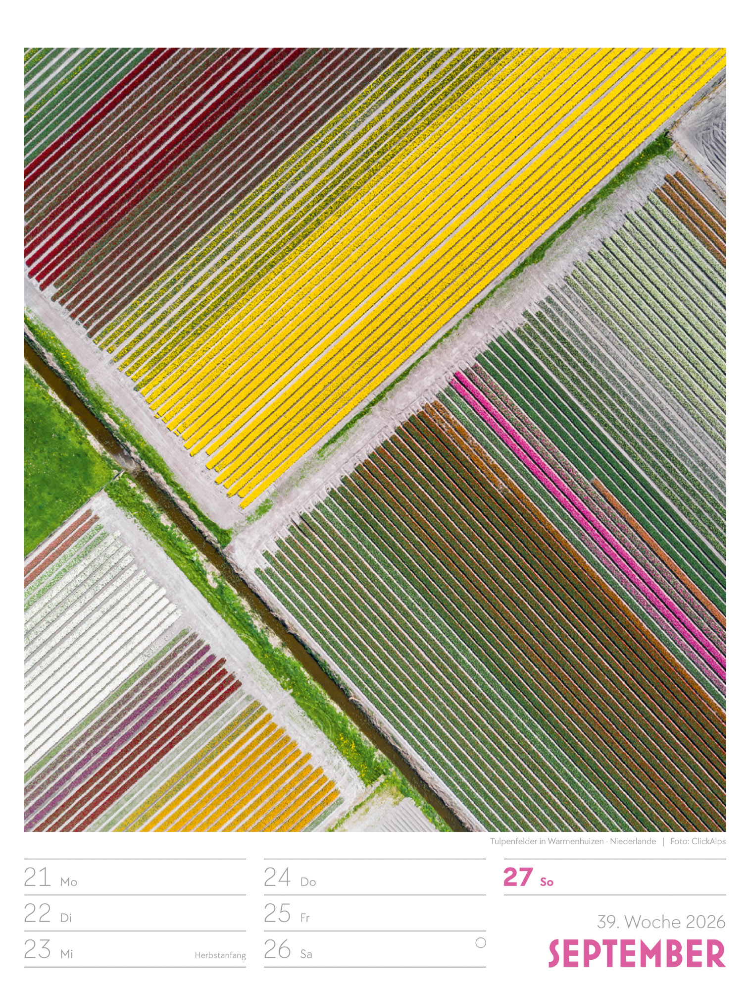 9783838436234_innenansicht_42.jpg