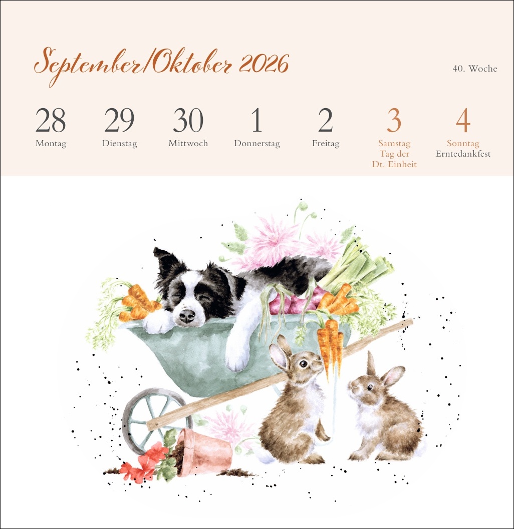 9783756412389_innenansicht_10 9783756412389_innenansicht_10.jpg