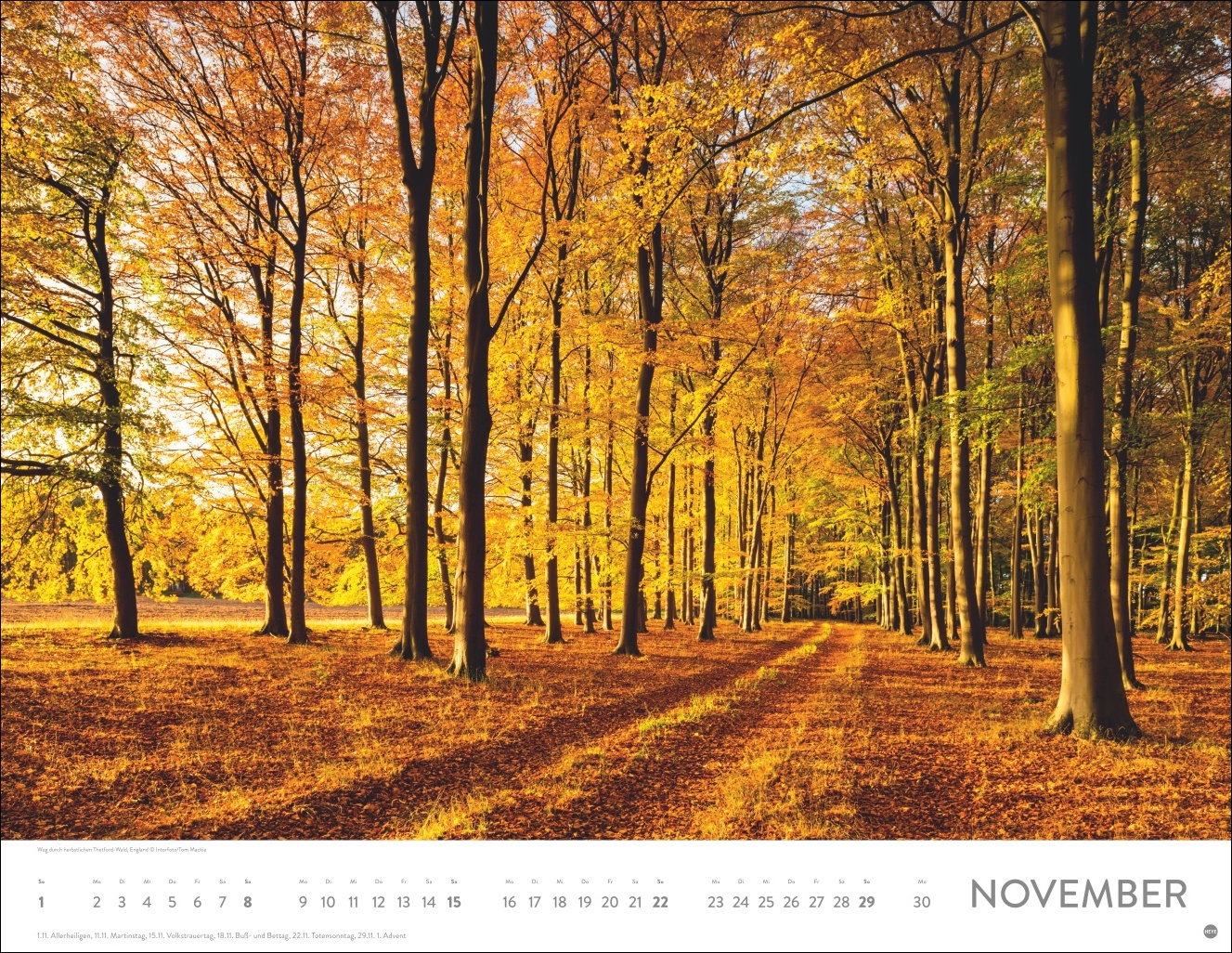 9783756410576_innenansicht_11 9783756410576_innenansicht_11.jpg