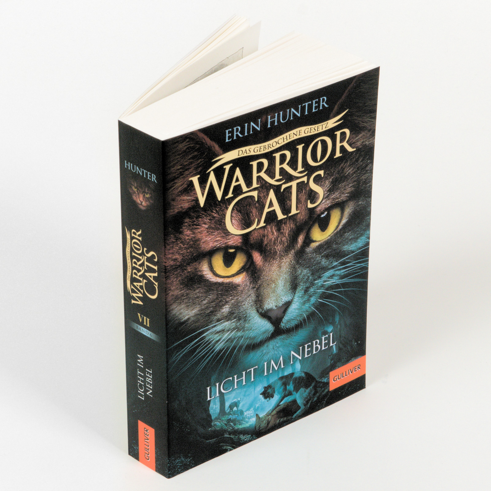 9783407813206_weiterecover_01 9783407813206_weiterecover_01.jpg