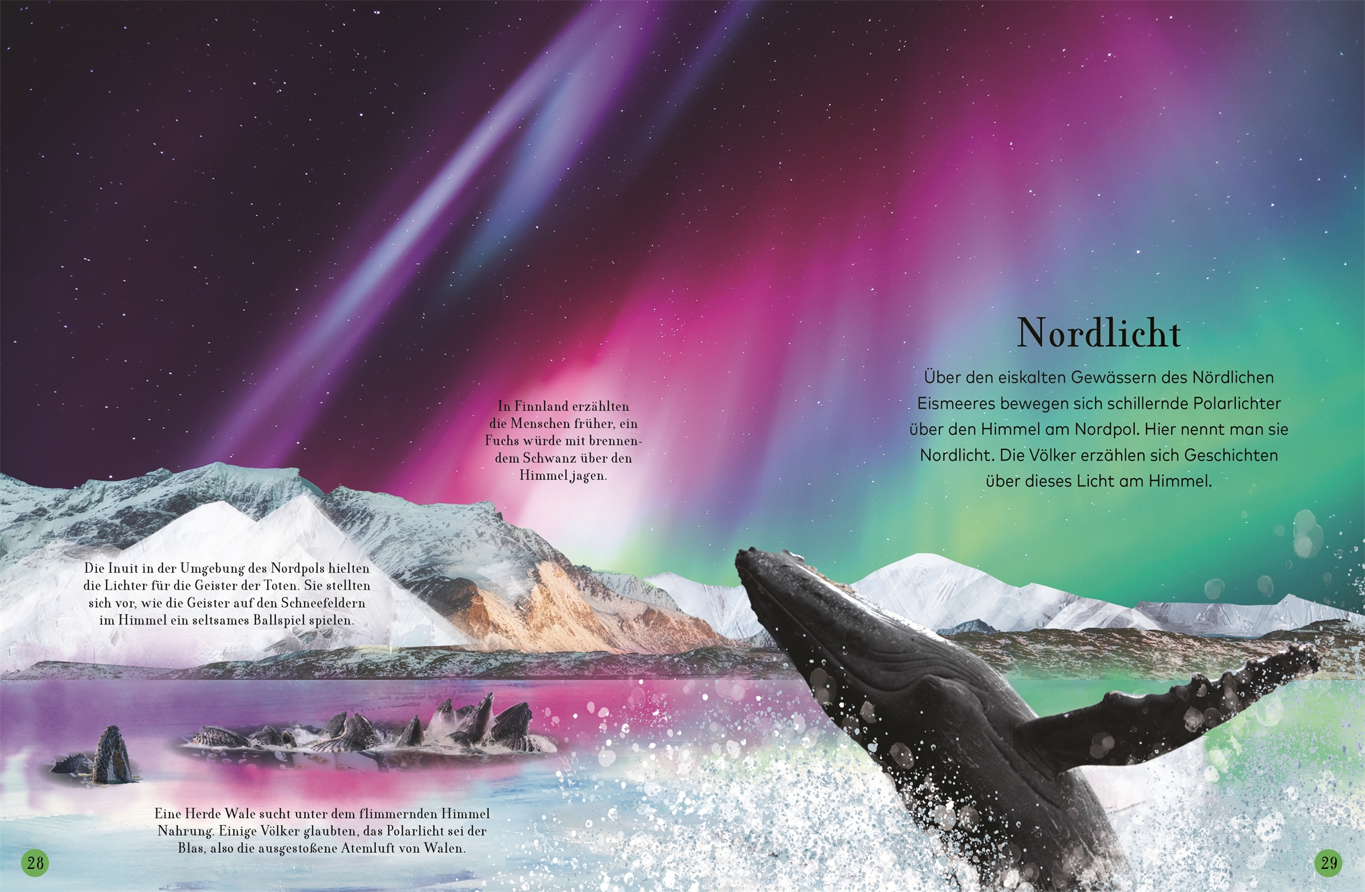 9783831041244_innenansicht_04 9783831041244_innenansicht_04.jpg