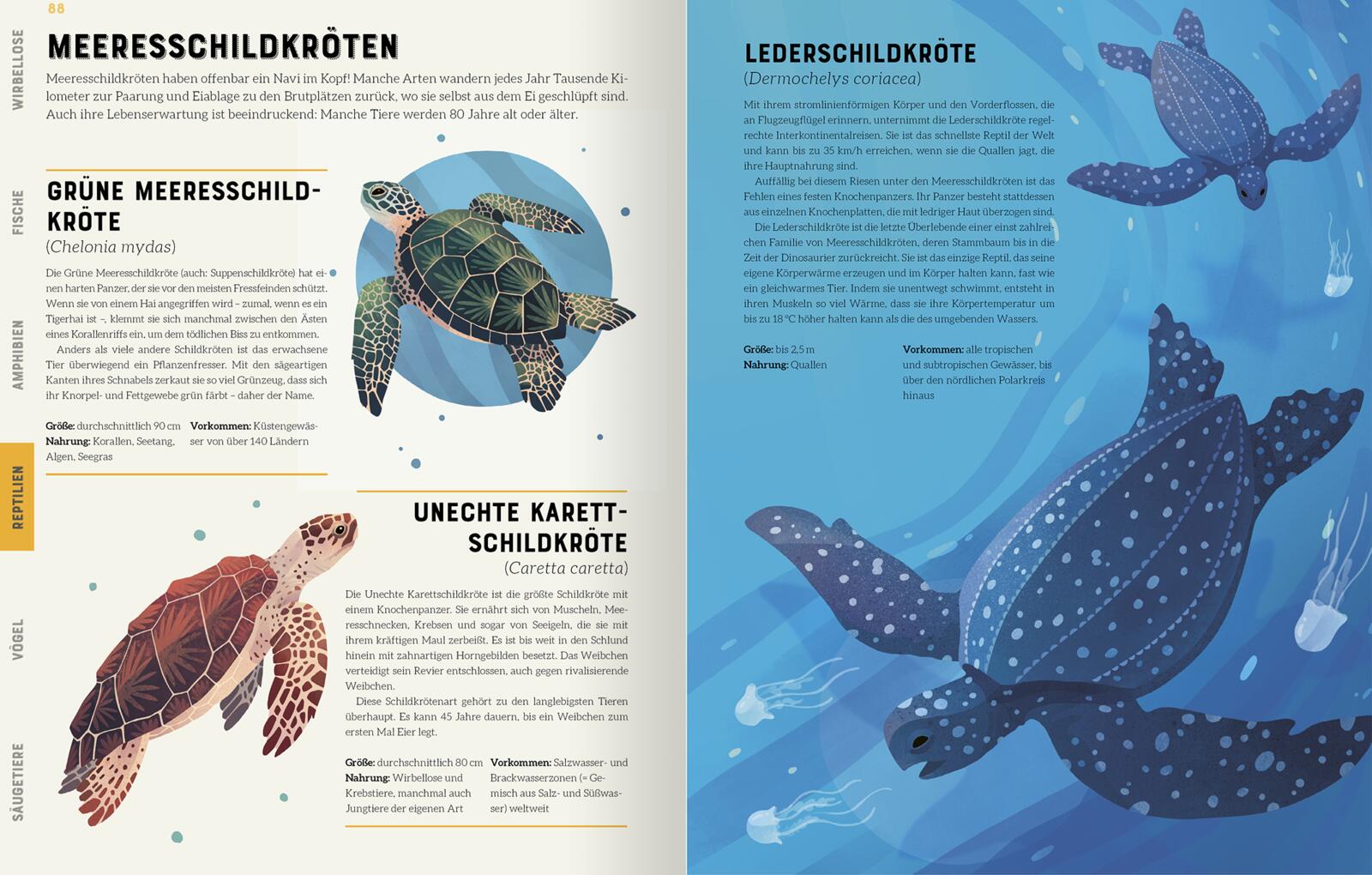 9783845848297_innenansicht_04 9783845848297_innenansicht_04.jpg