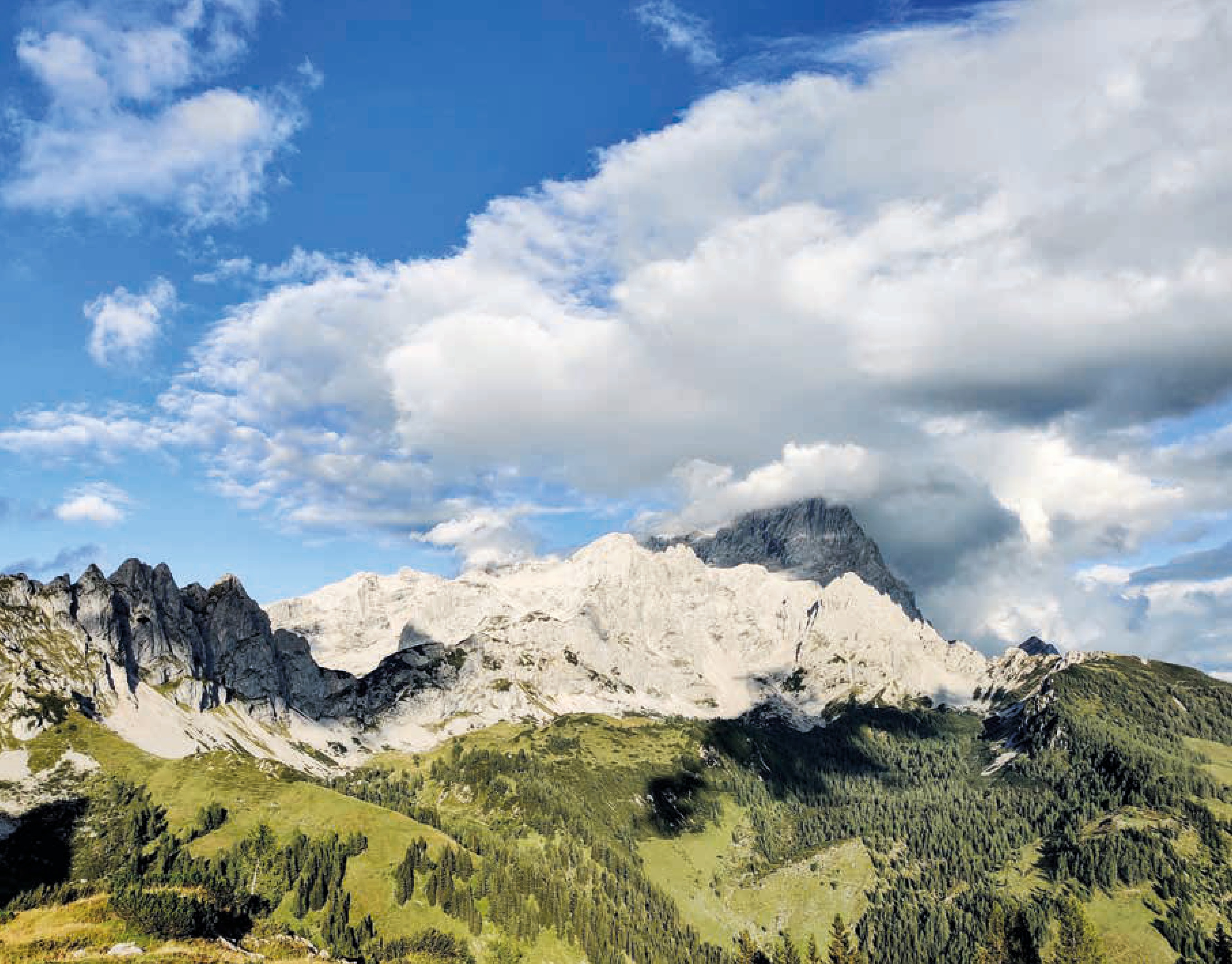 9783702510879_innenansicht_06.jpg