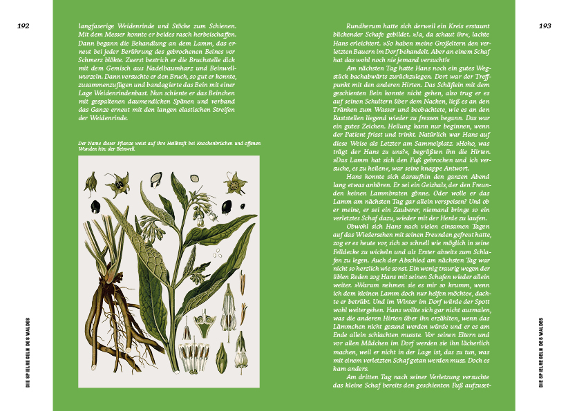 9783710900877_innenansicht_07 9783710900877_innenansicht_07.jpg