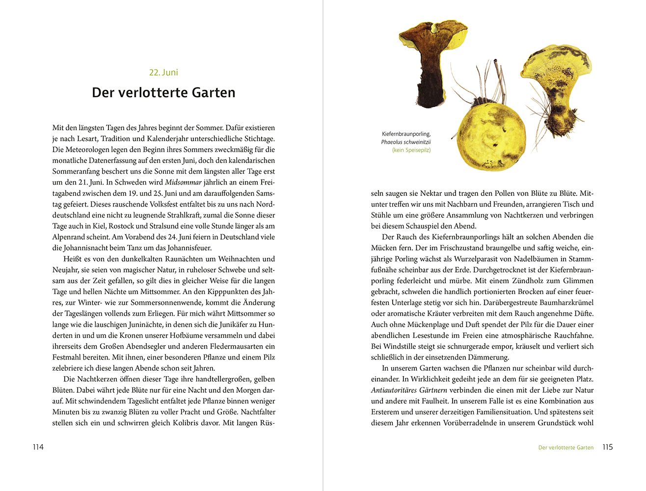 9783987261770_innenansicht_03.jpg