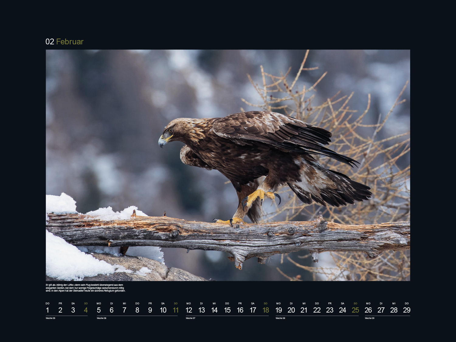 9783965912519_innenansicht_03 9783965912519_innenansicht_03.jpg