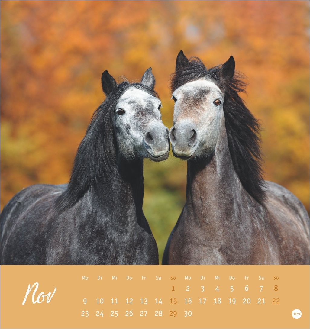 9783756410477_innenansicht_11 9783756410477_innenansicht_11.jpg