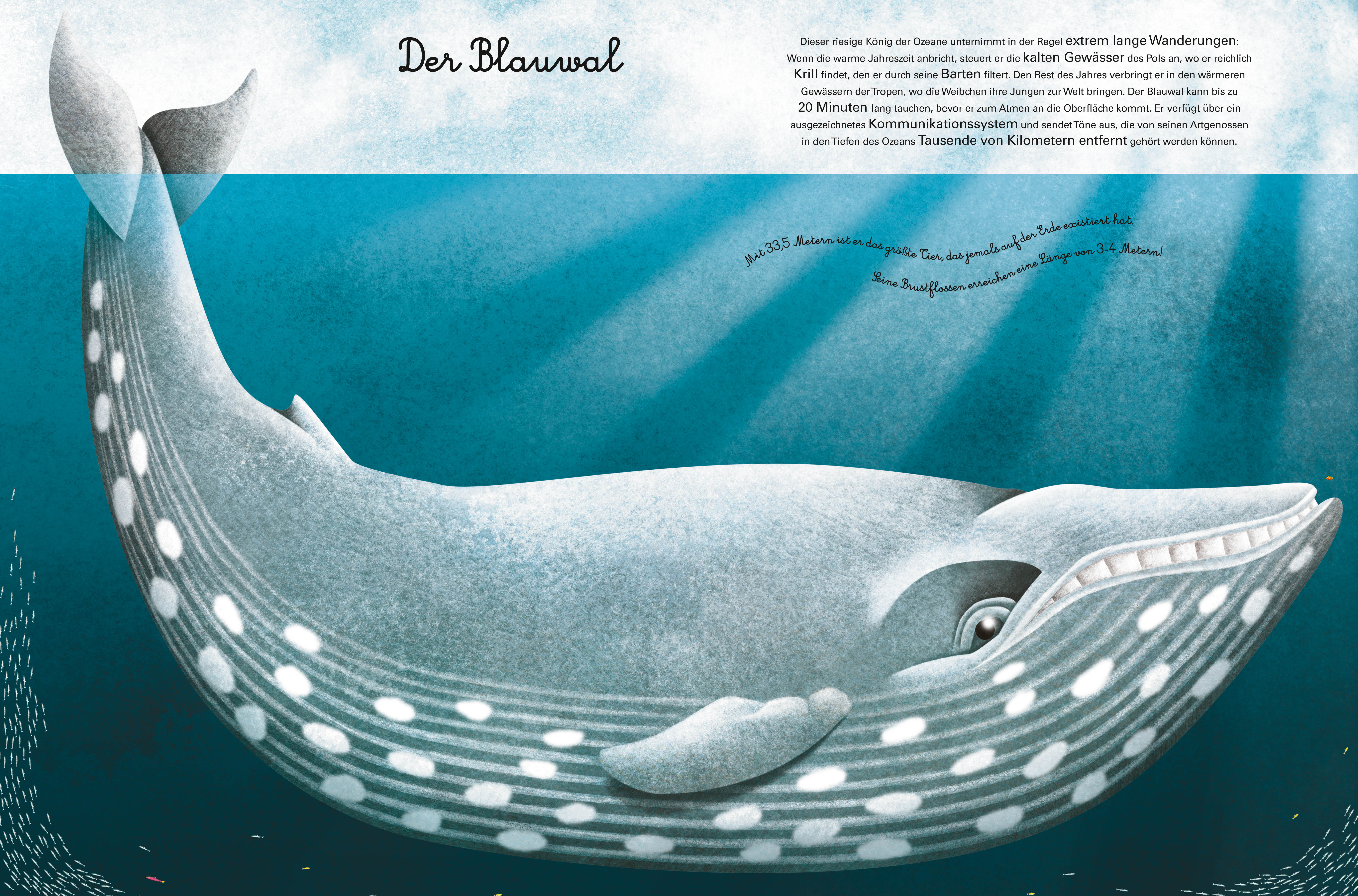 9788863125818_innenansicht_02 9788863125818_innenansicht_02.jpg