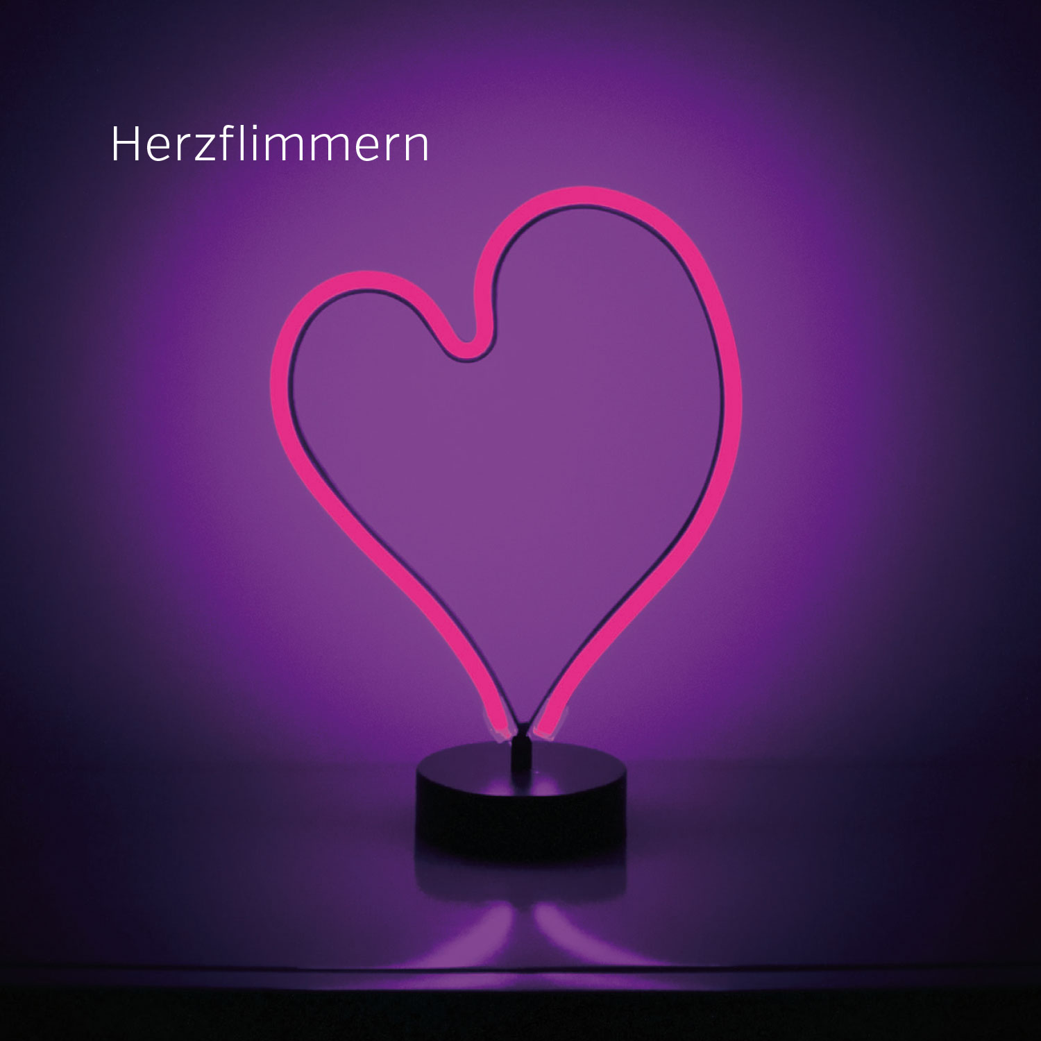 4027537000811_innenansicht_05 4027537000811_innenansicht_05.jpg