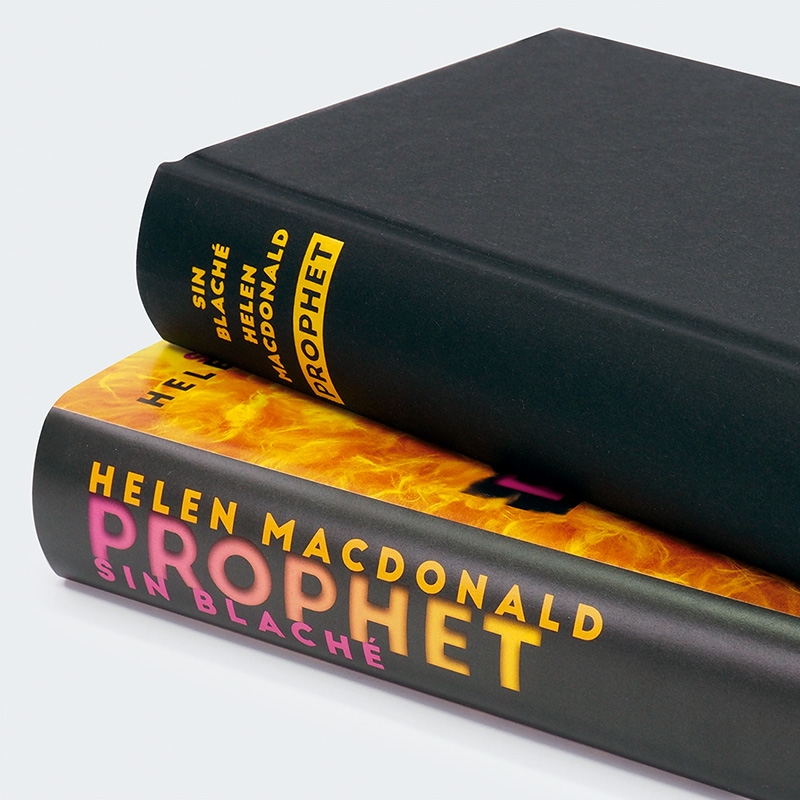 9783446277557_innenansicht_03 9783446277557_innenansicht_03.jpg