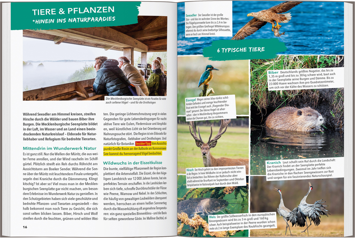 9783575019219_innenansicht_02.jpg