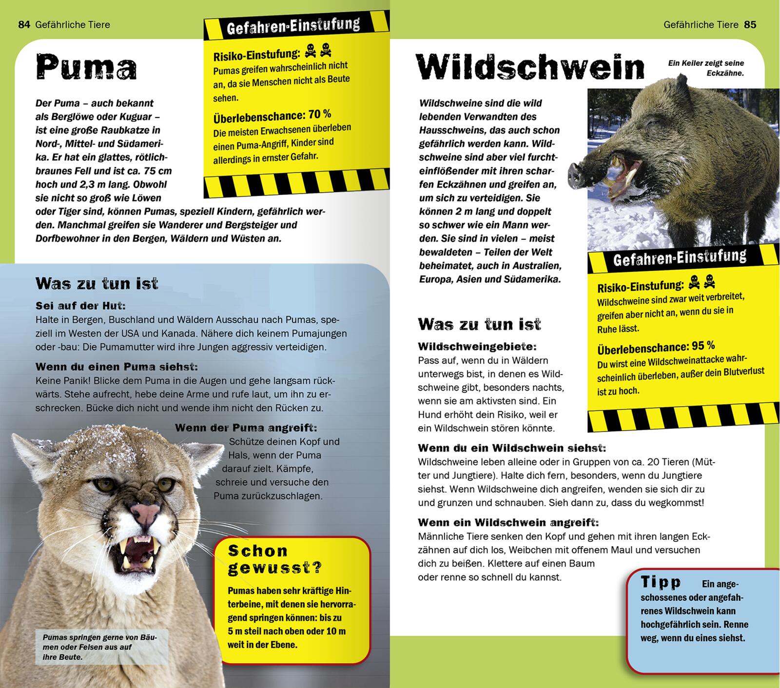 9783845851273_innenansicht_03 9783845851273_innenansicht_03.jpg