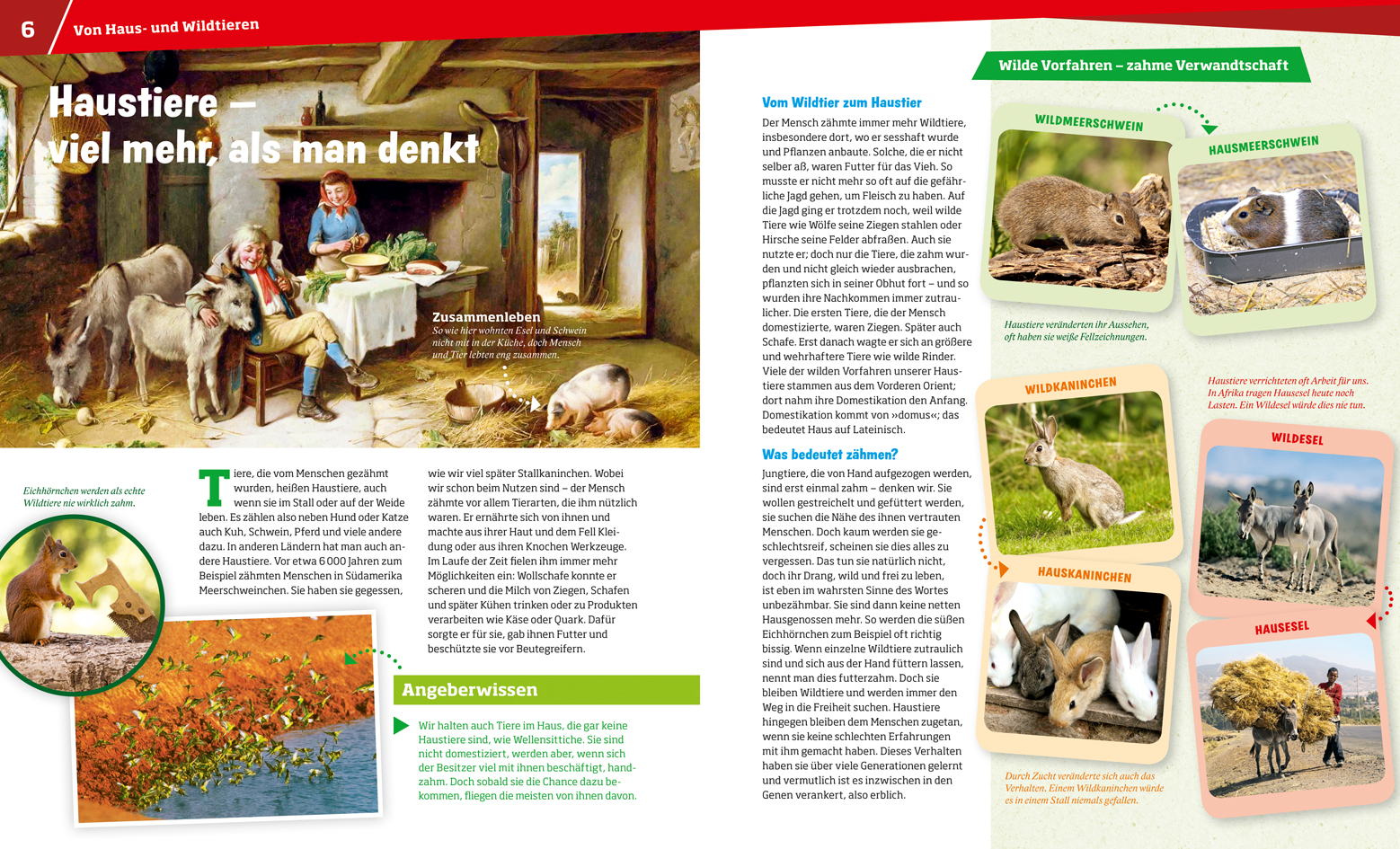 9783788620936_innenansicht_03 9783788620936_innenansicht_03.jpg