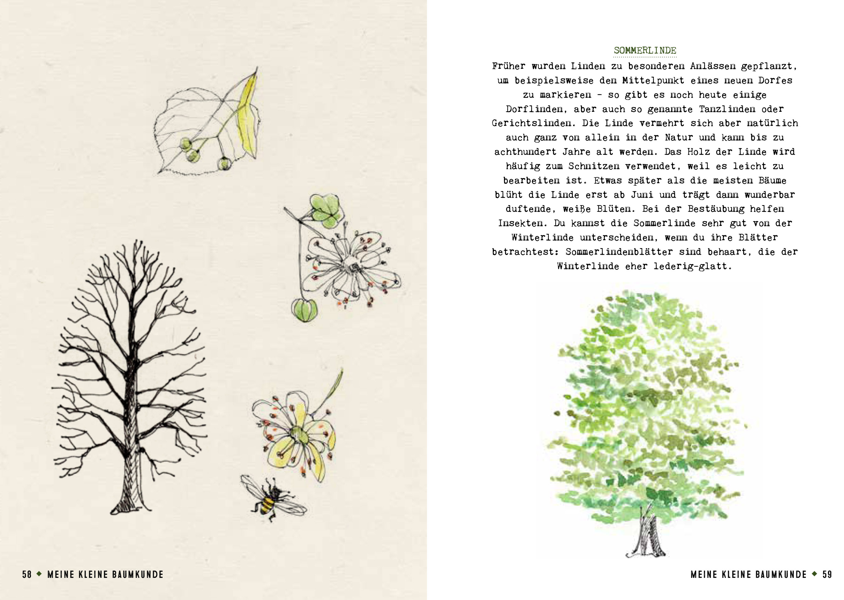 9783959102681_innenansicht_02 9783959102681_innenansicht_02.jpg