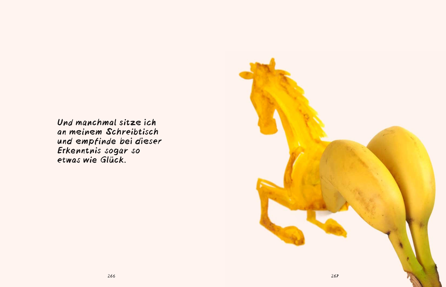 9783957289230_innenansicht_11 9783957289230_innenansicht_11.jpg