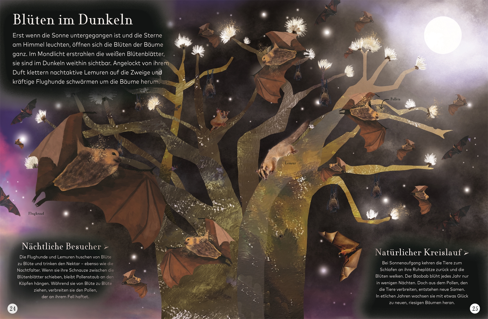 9783831041244_innenansicht_03 9783831041244_innenansicht_03.jpg