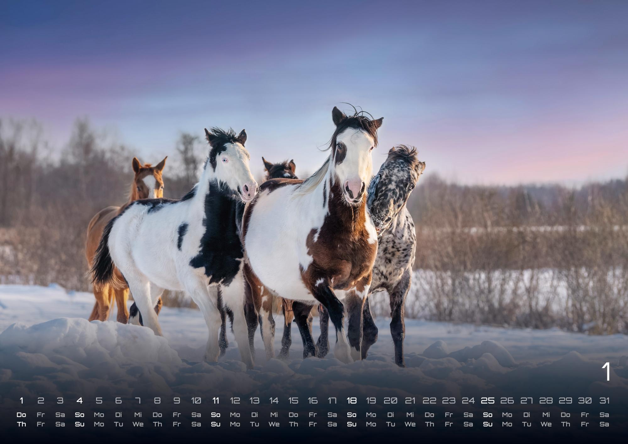 9783986735647_innenansicht_01 9783986735647_innenansicht_01.jpg