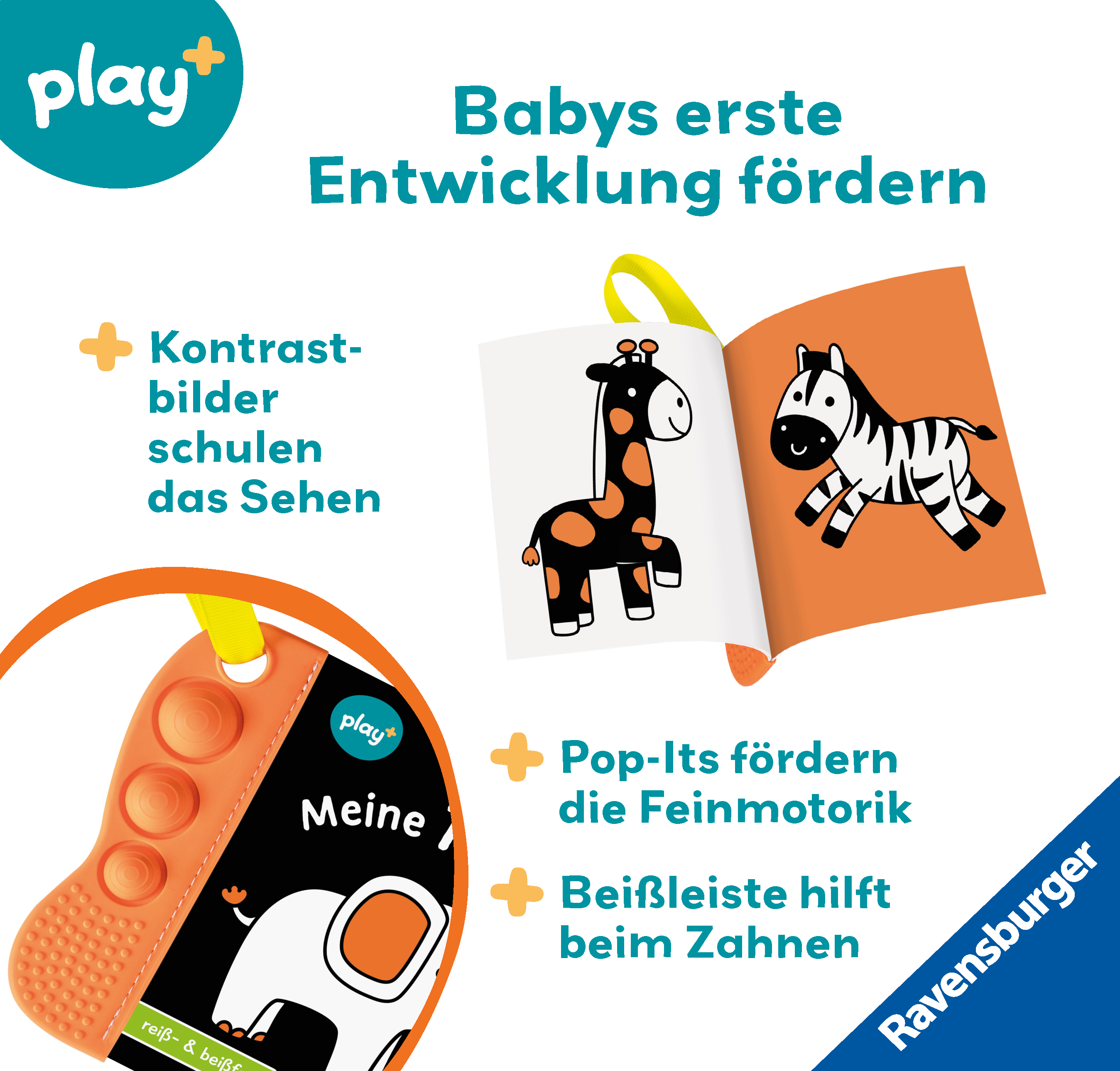 9783473456352_innenansicht_05.jpg