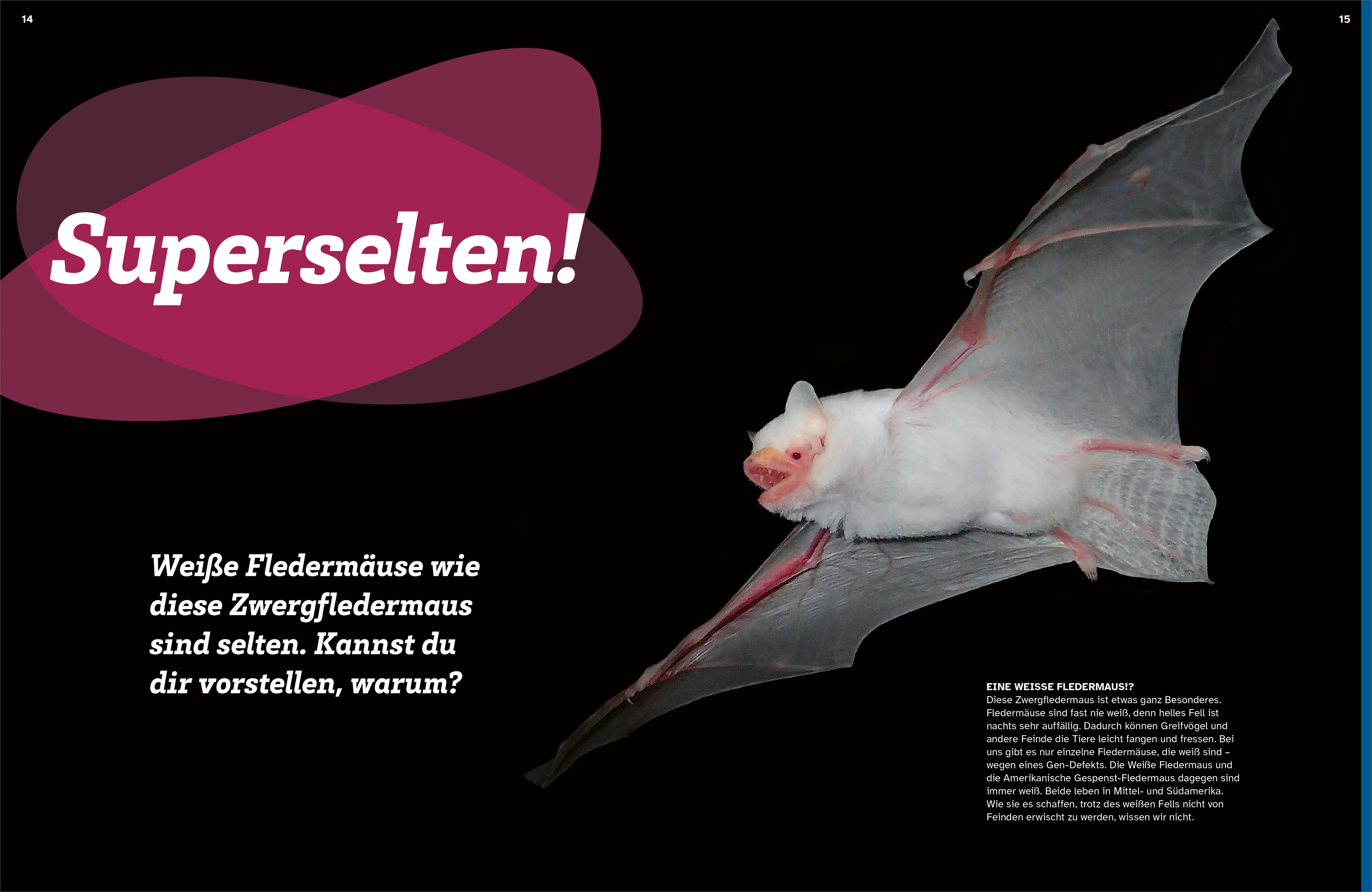 9783788681975_innenansicht_04.jpg