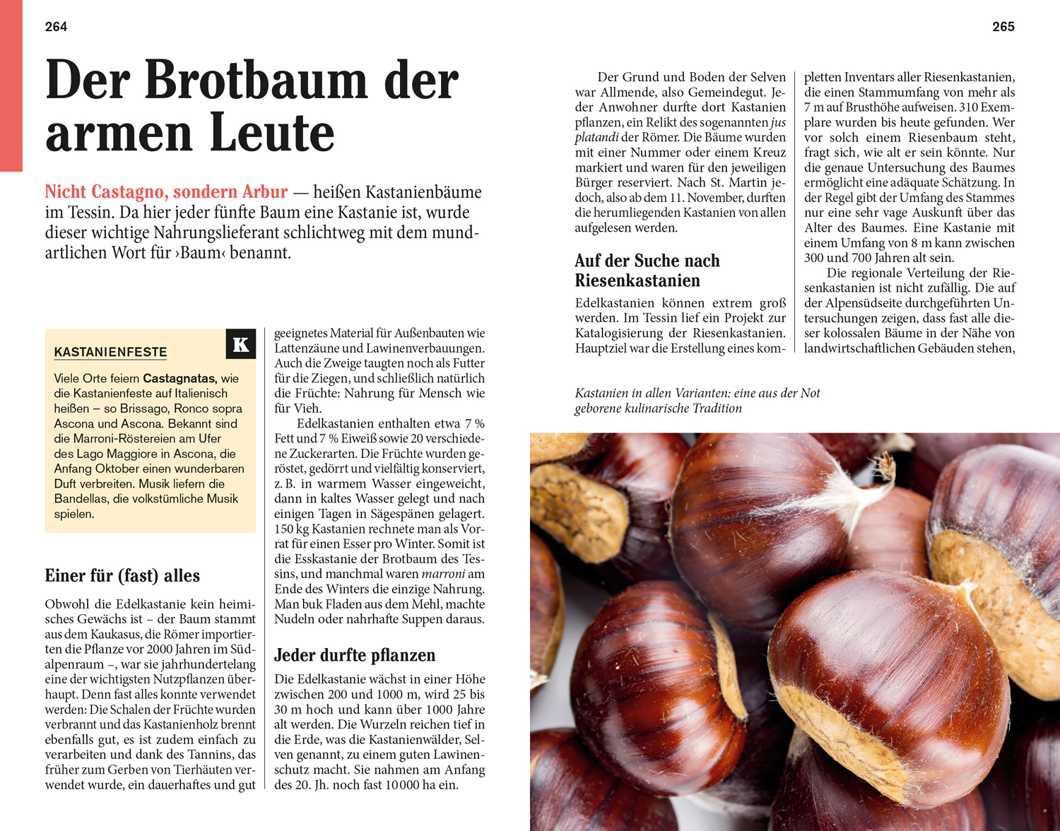 9783616021249_innenansicht_06 9783616021249_innenansicht_06.jpg