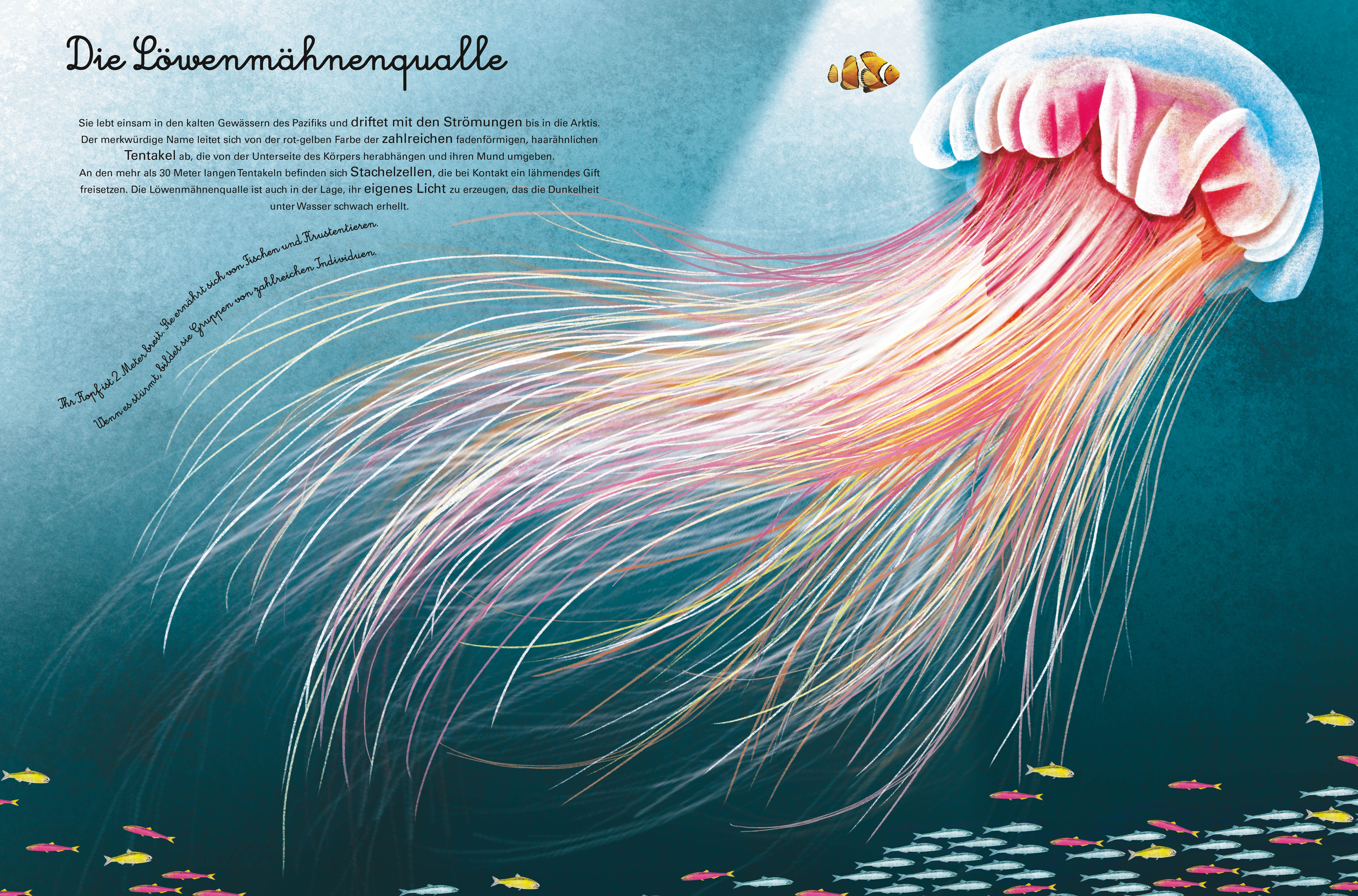 9788863125818_innenansicht_01 9788863125818_innenansicht_01.jpg