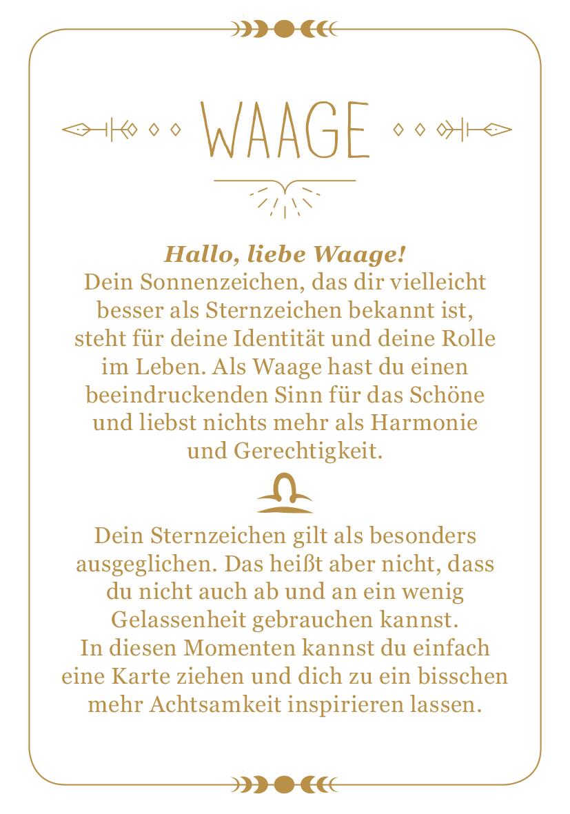 9783845849713_innenansicht_01.jpg
