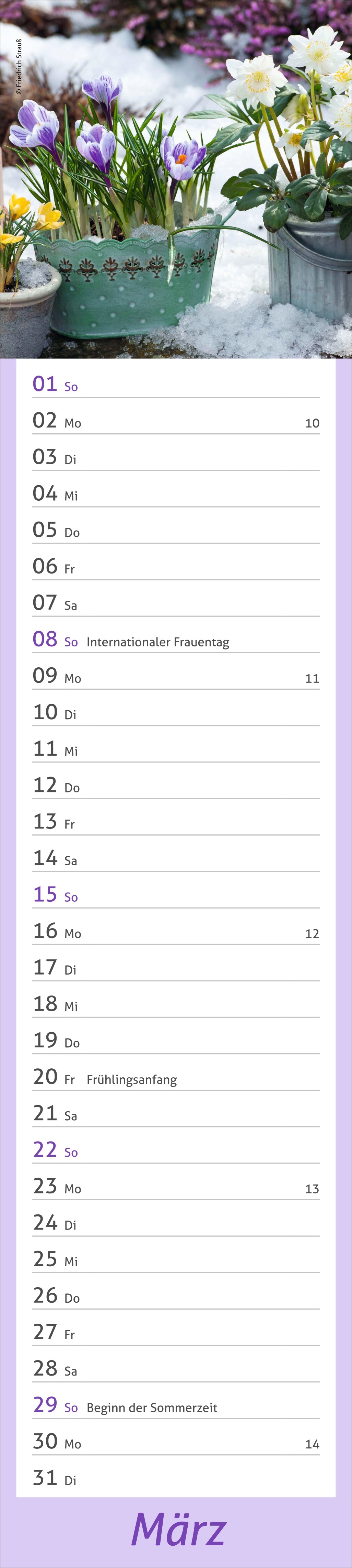 9783756412921_innenansicht_03.jpg