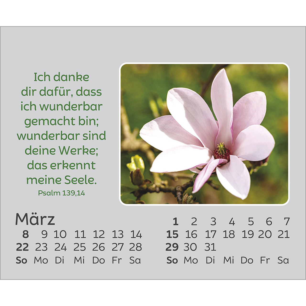 9783754861066_innenansicht_03.jpg