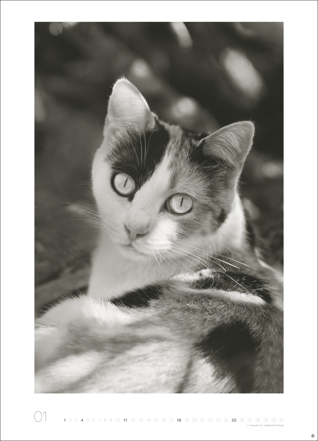 9783756411313_innenansicht_01 9783756411313_innenansicht_01.jpg