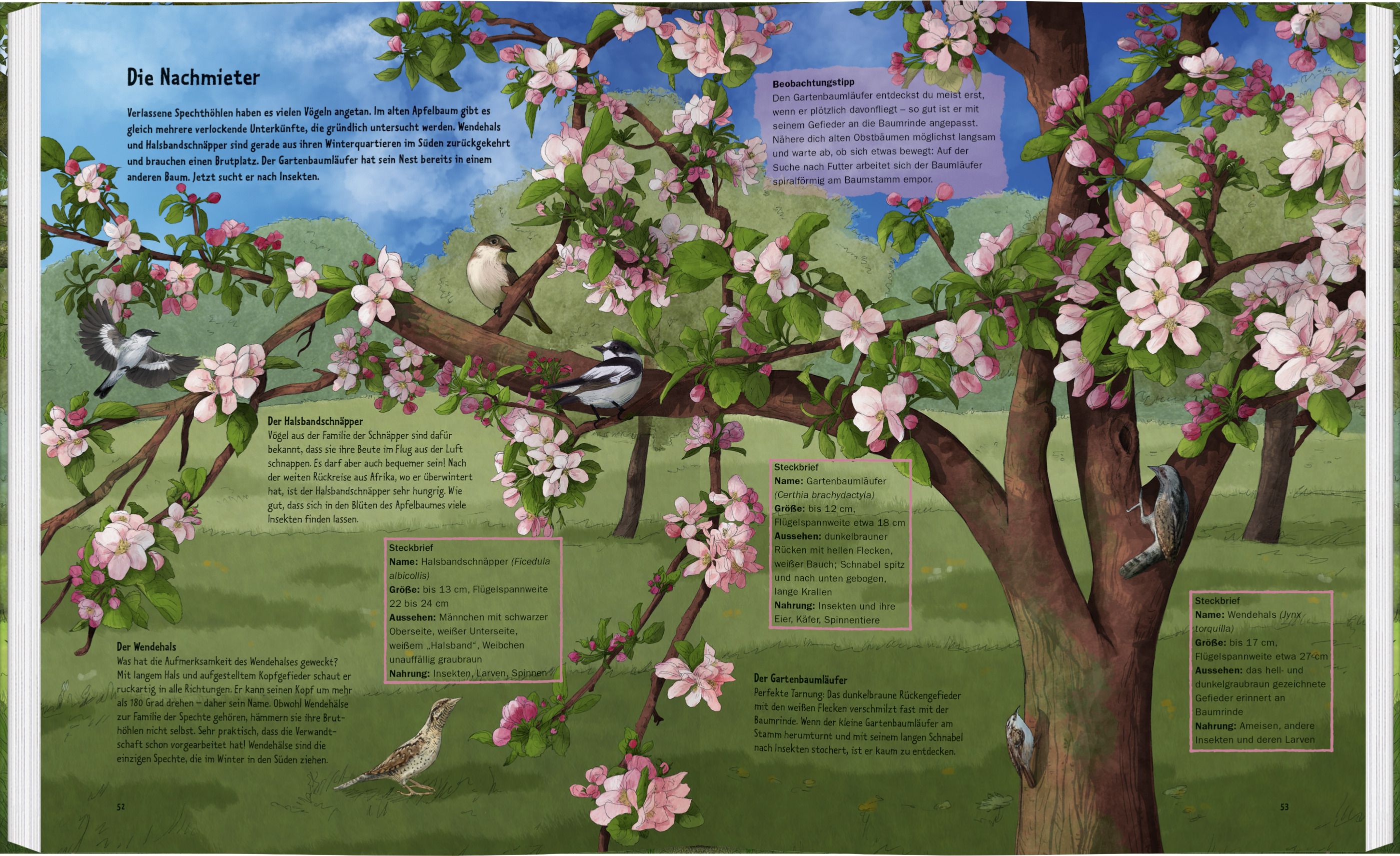 9783836962230_innenansicht_03 9783836962230_innenansicht_03.jpg