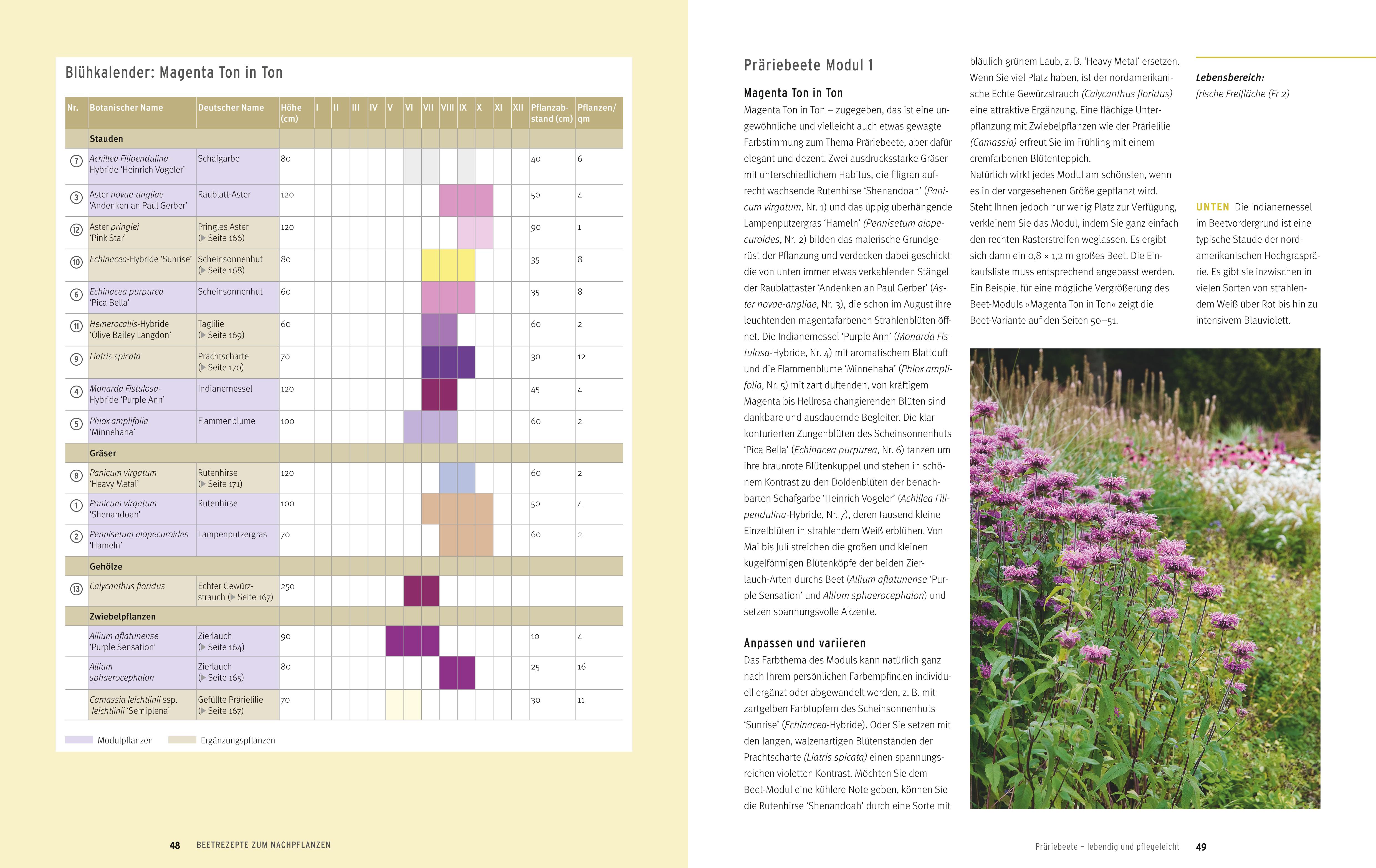 9783833855801_innenansicht_05 9783833855801_innenansicht_05.jpg