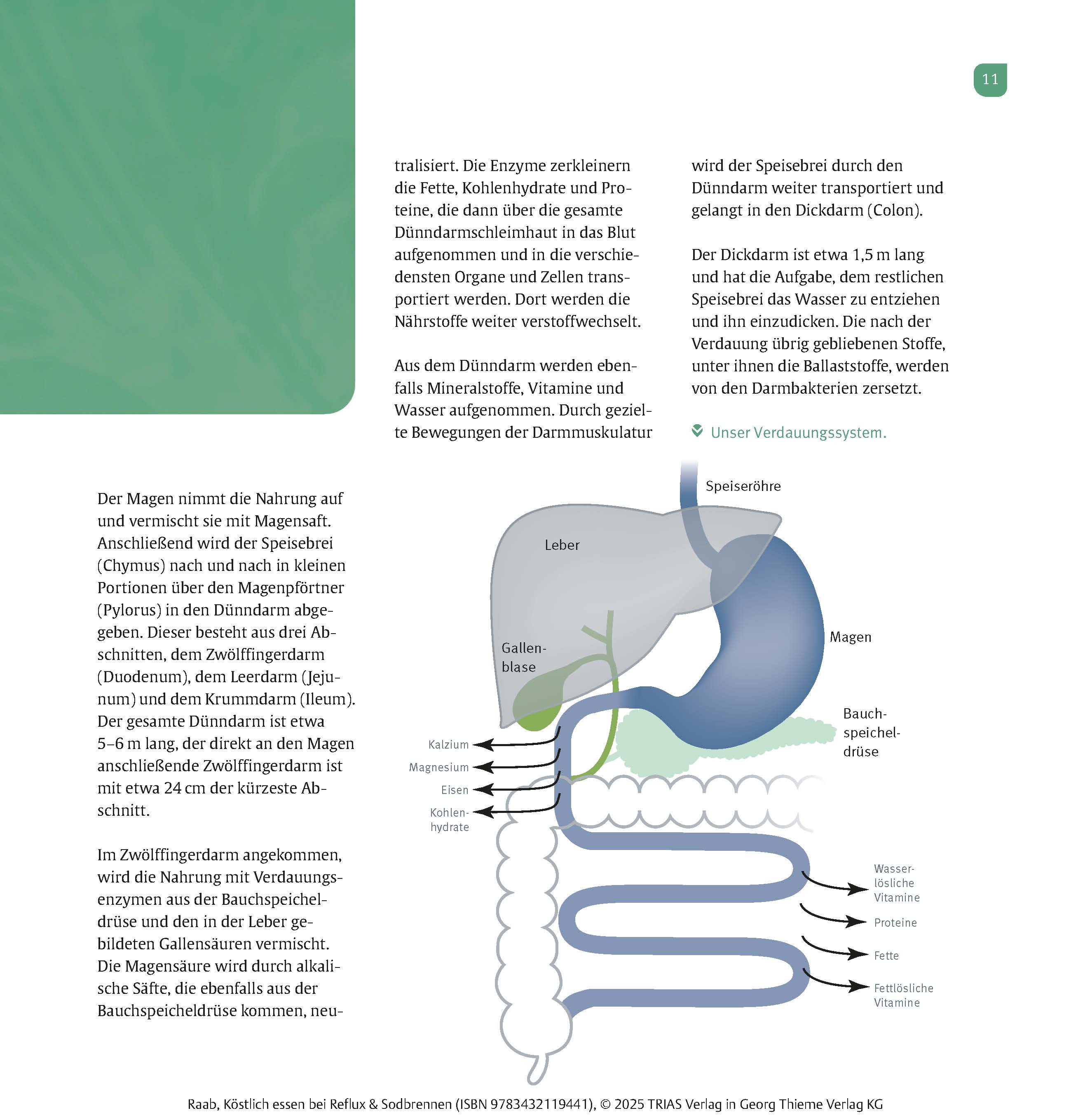 9783432119441_innenansicht_08 9783432119441_innenansicht_08.jpg