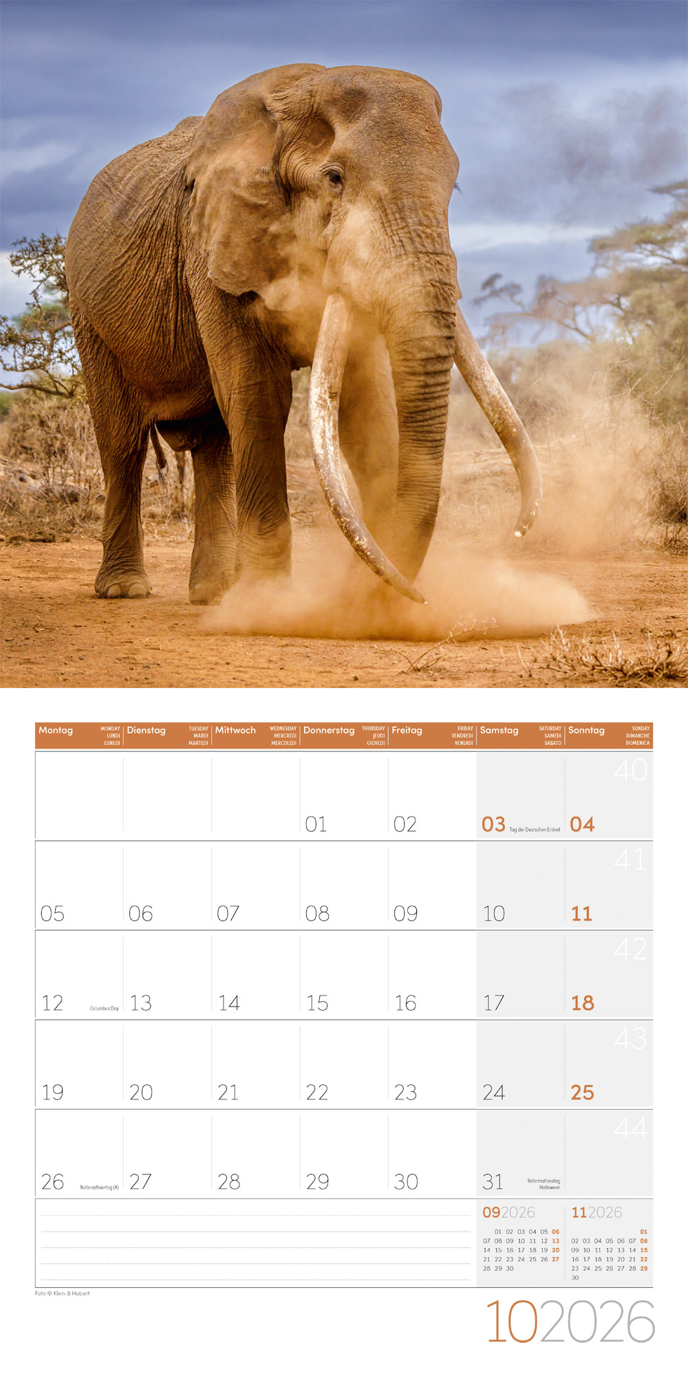 9783838446288_innenansicht_10 9783838446288_innenansicht_10.jpg