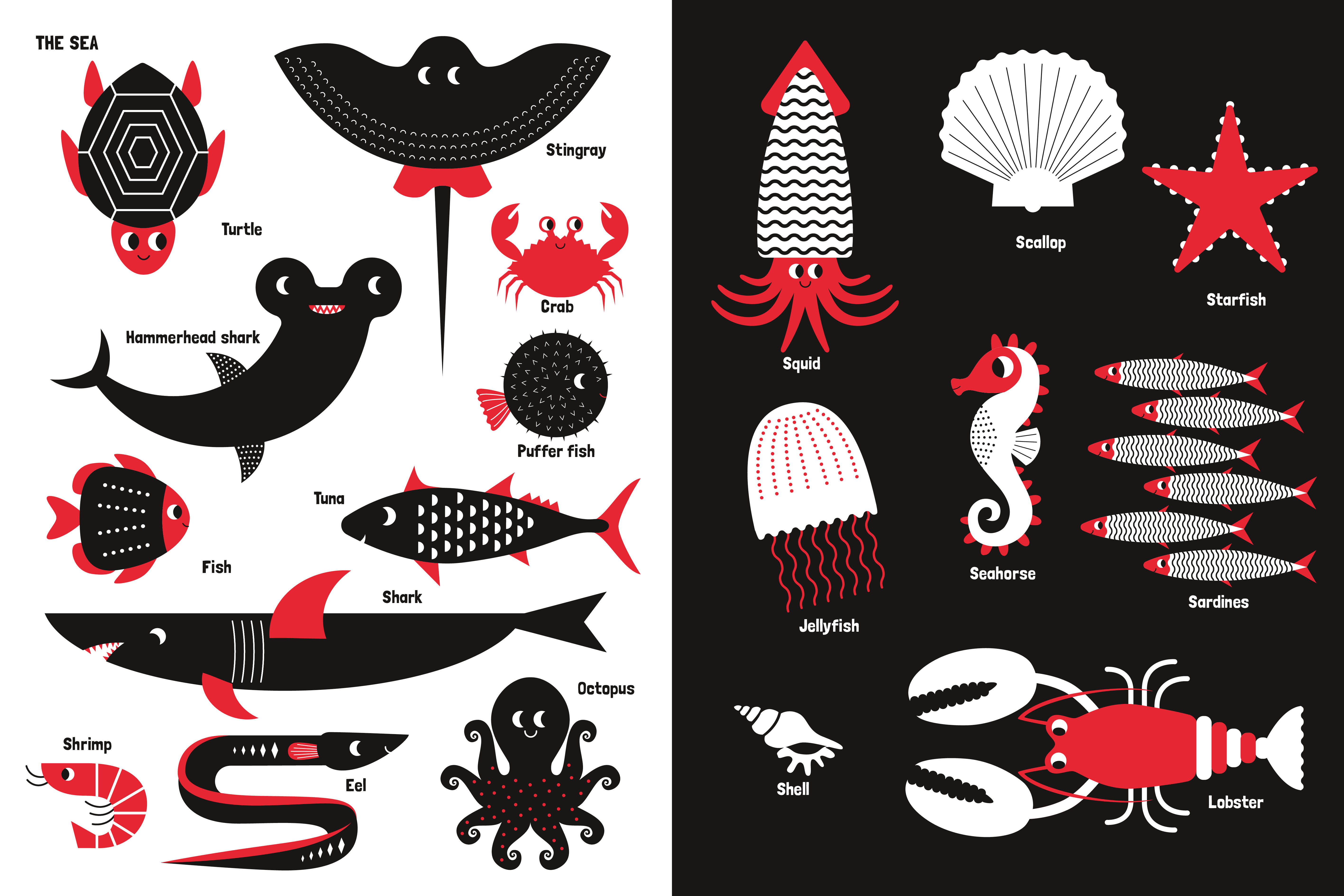 9788863127232_innenansicht_12 9788863127232_innenansicht_12.jpg