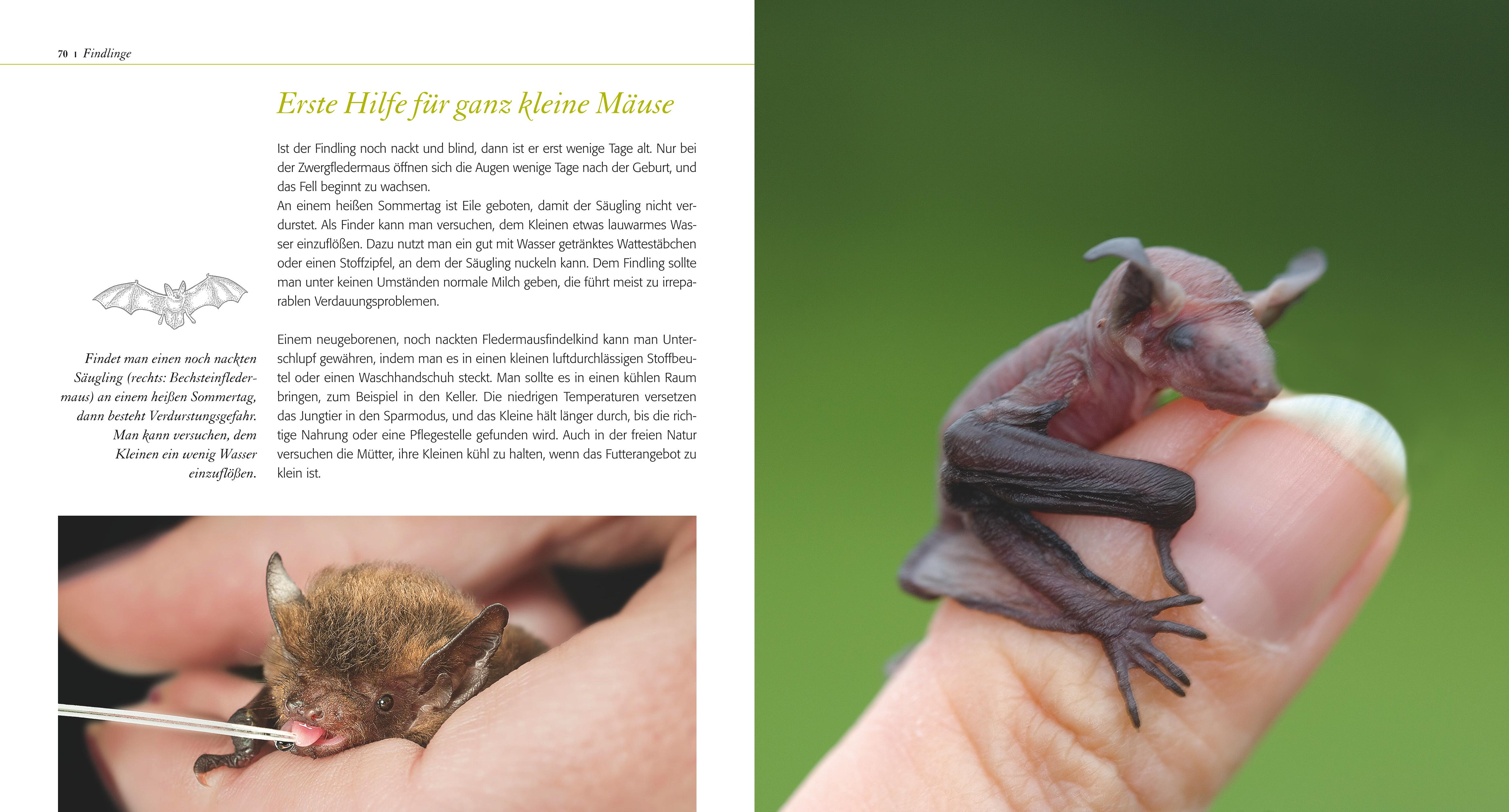 9783835419032_innenansicht_06 9783835419032_innenansicht_06.jpg