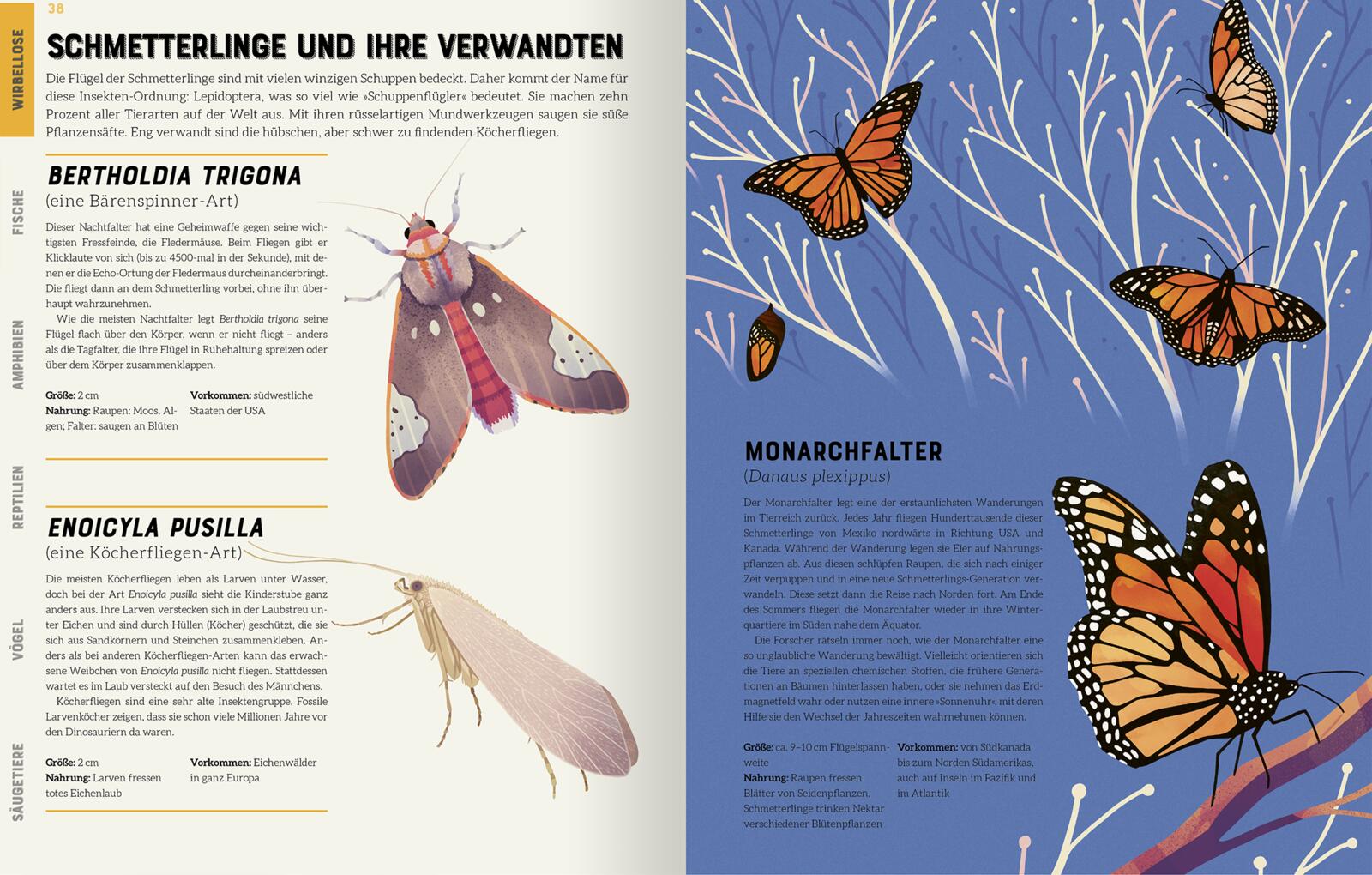 9783845848297_innenansicht_02.jpg