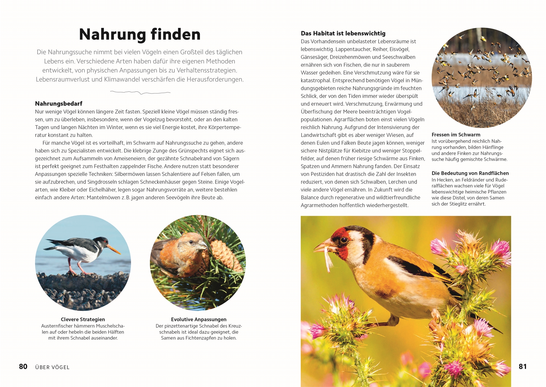 9783831049943_innenansicht_09 9783831049943_innenansicht_09.jpg