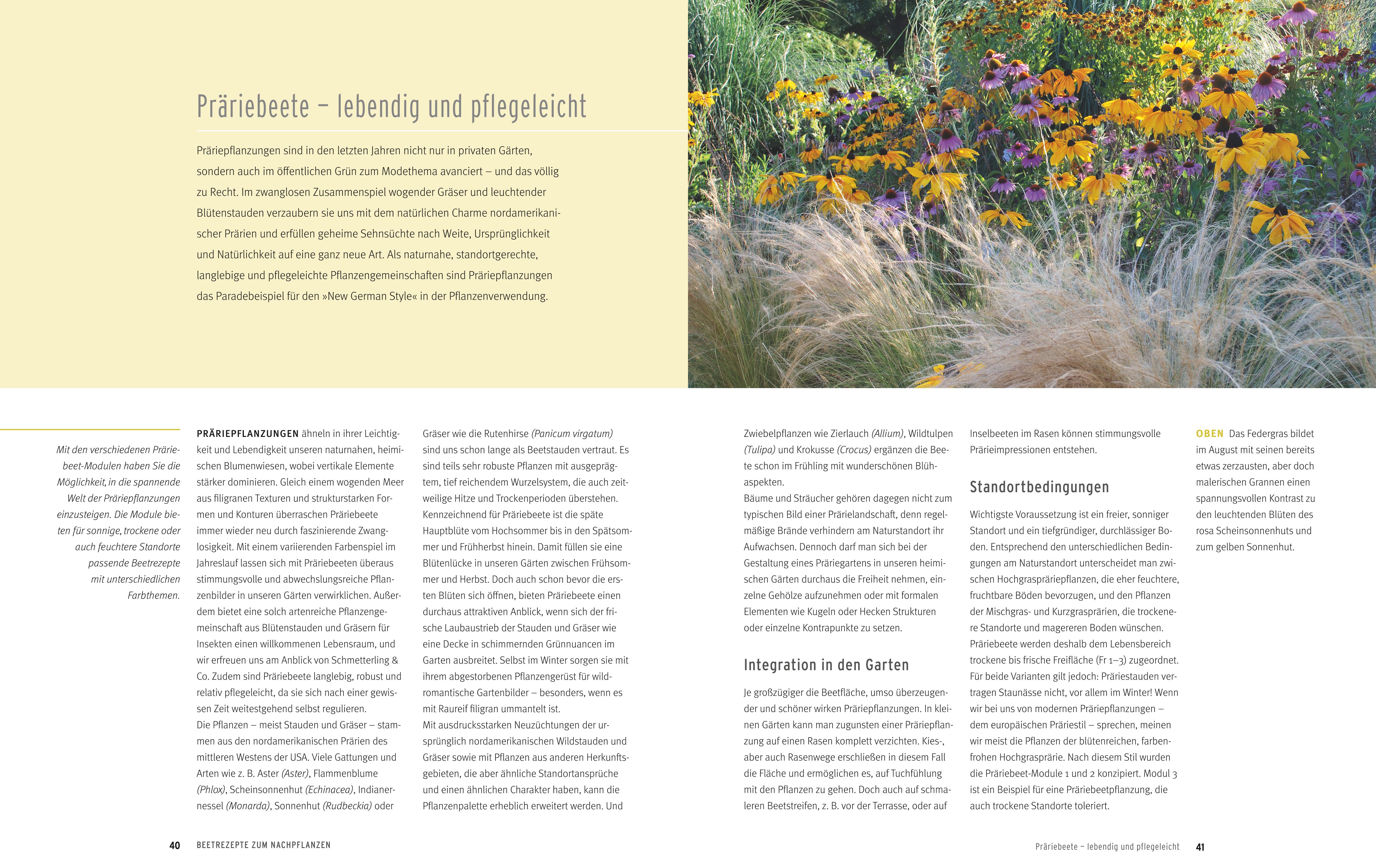 9783833855801_innenansicht_03 9783833855801_innenansicht_03.jpg