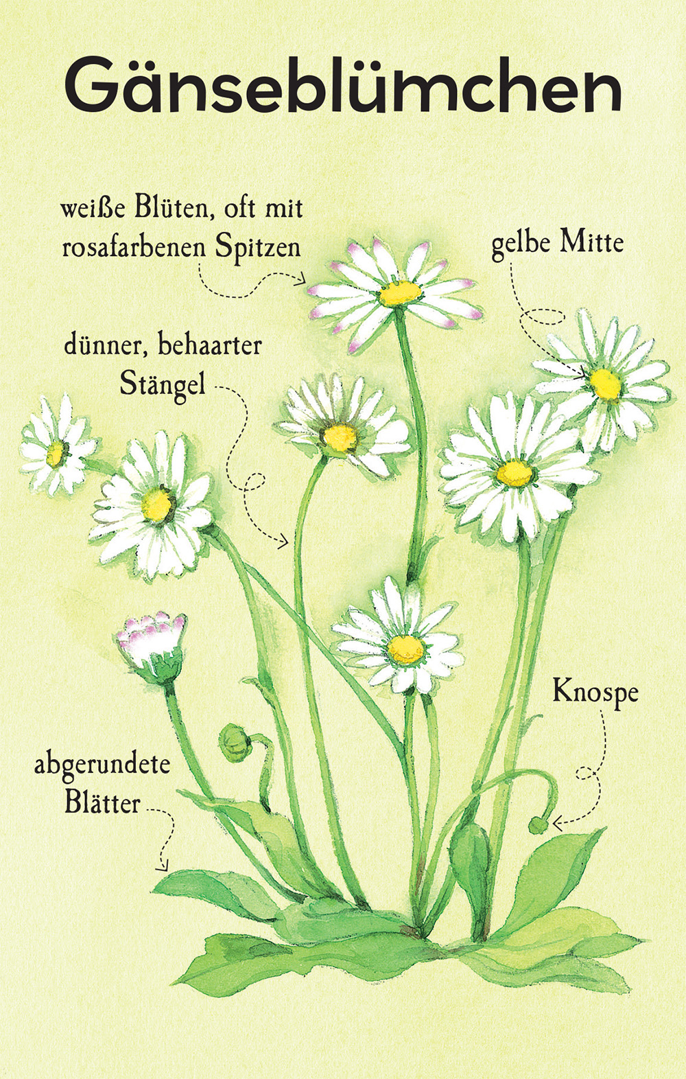 9781035703319_innenansicht_01.jpg