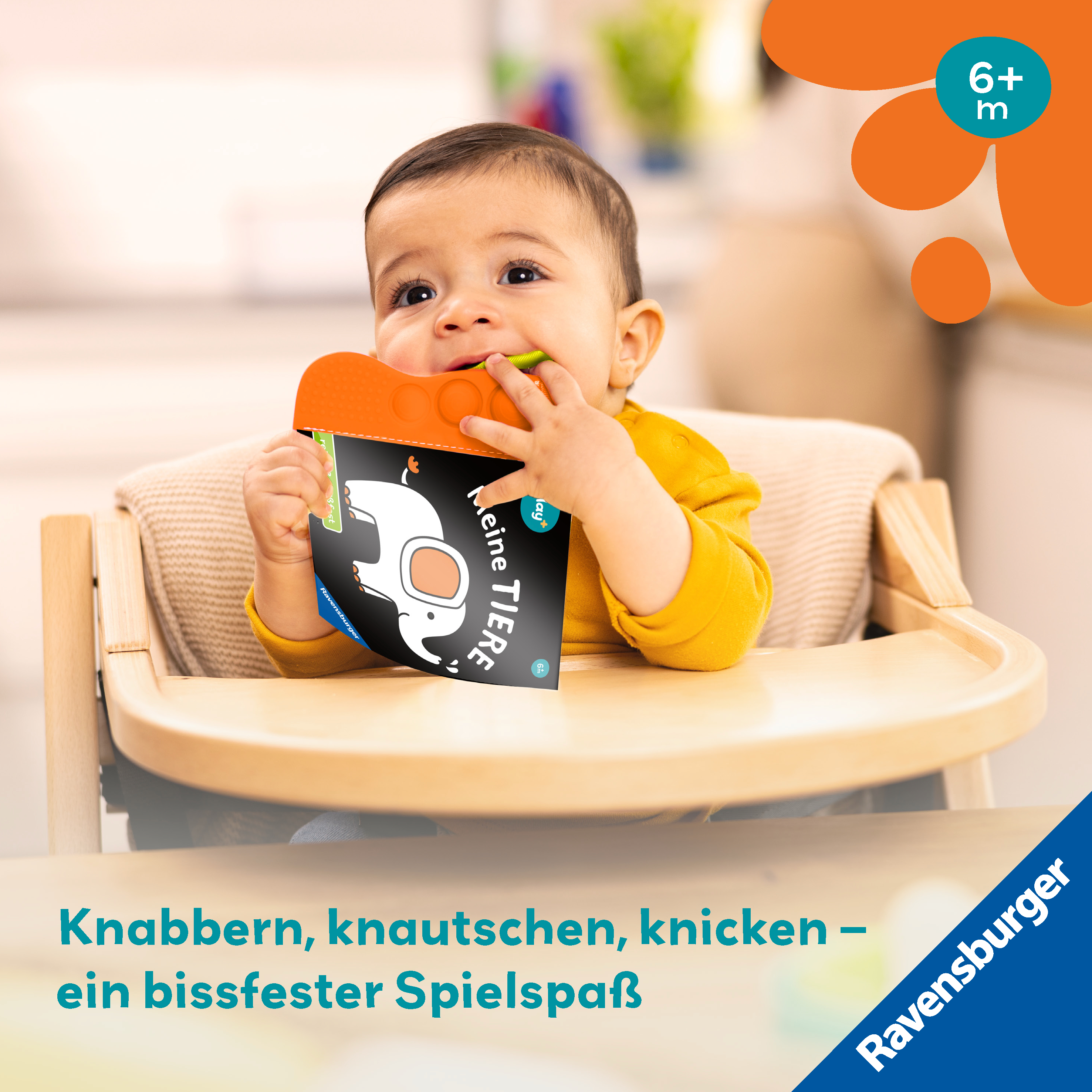 9783473456352_innenansicht_04.jpg