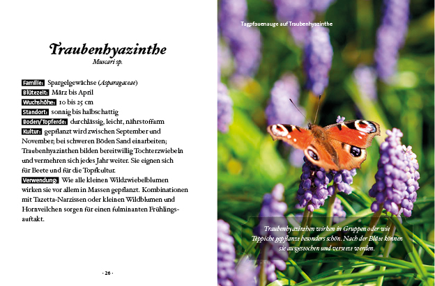 9783710402715_innenansicht_03.jpg 9783710402715_innenansicht_03.jpg