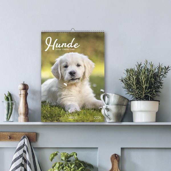 9783731883616_innenansicht_13 9783731883616_innenansicht_13.jpg