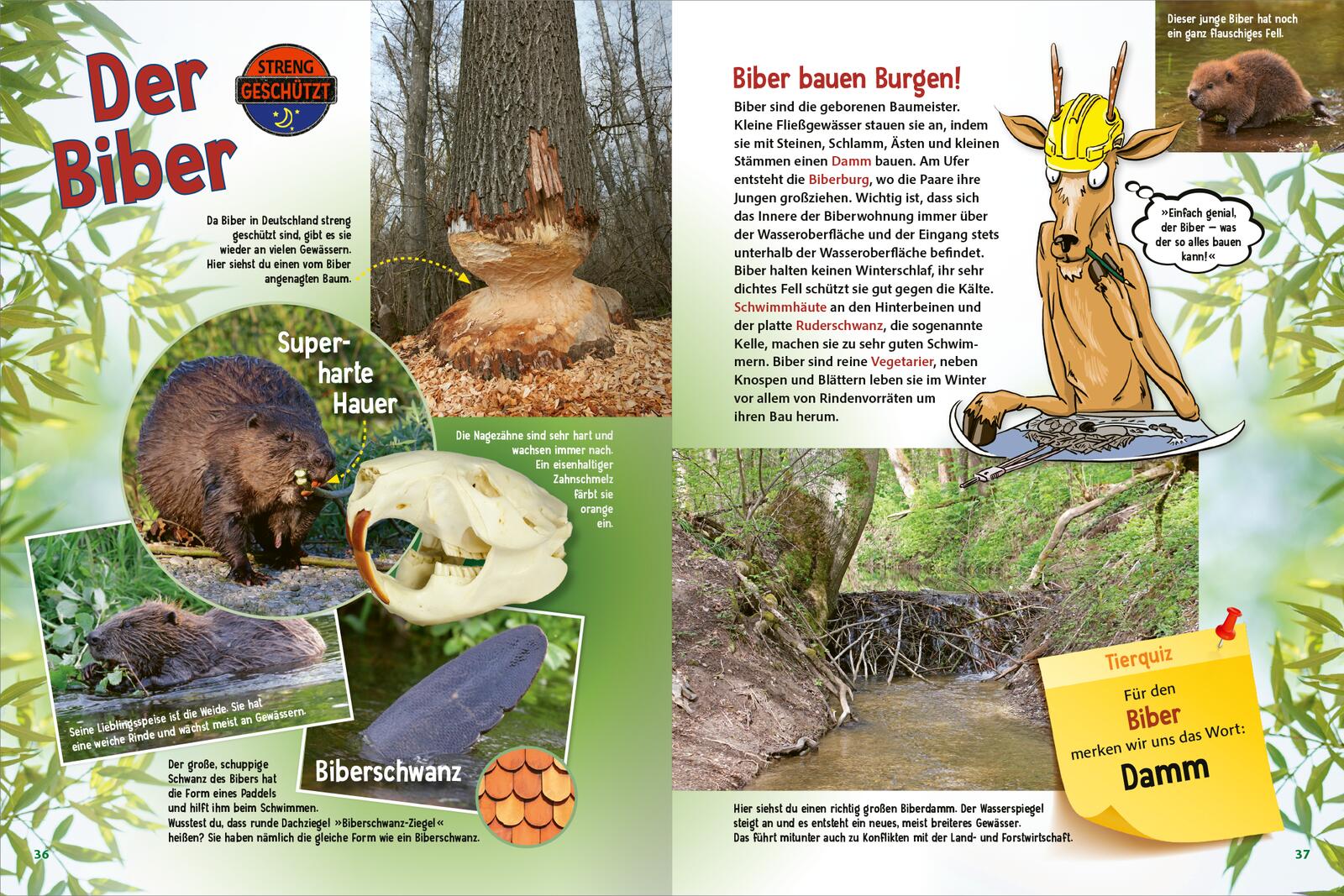 9783845855653_innenansicht_04 9783845855653_innenansicht_04.jpg